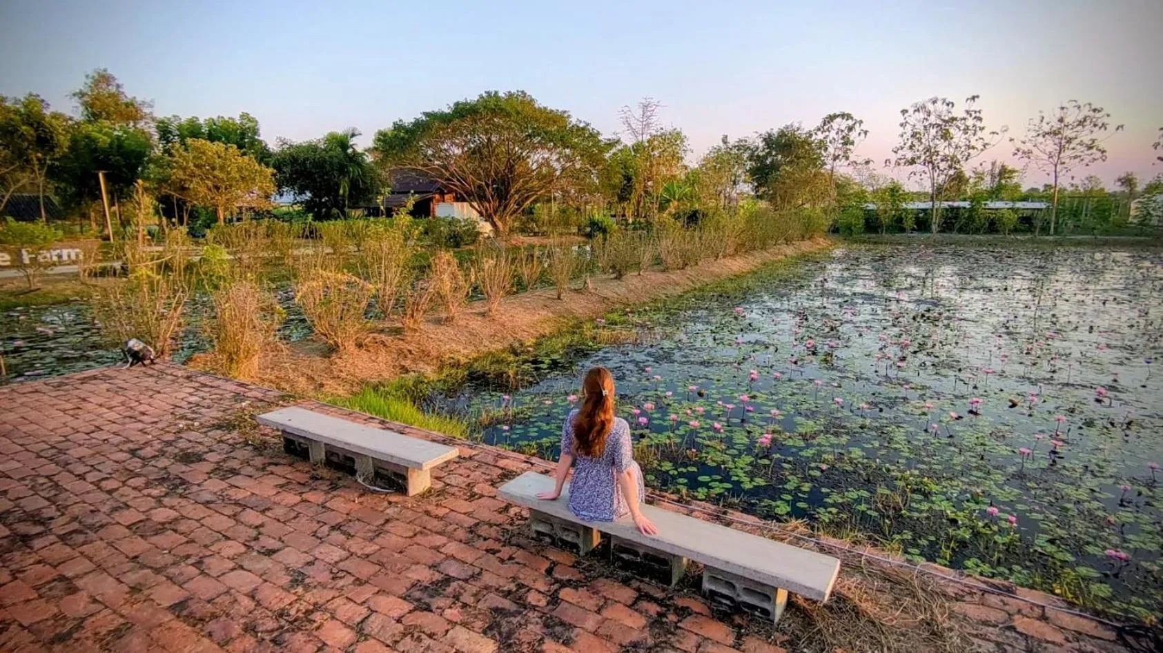 View (from property/room) in Sukhothai Treasure Resort & Spa