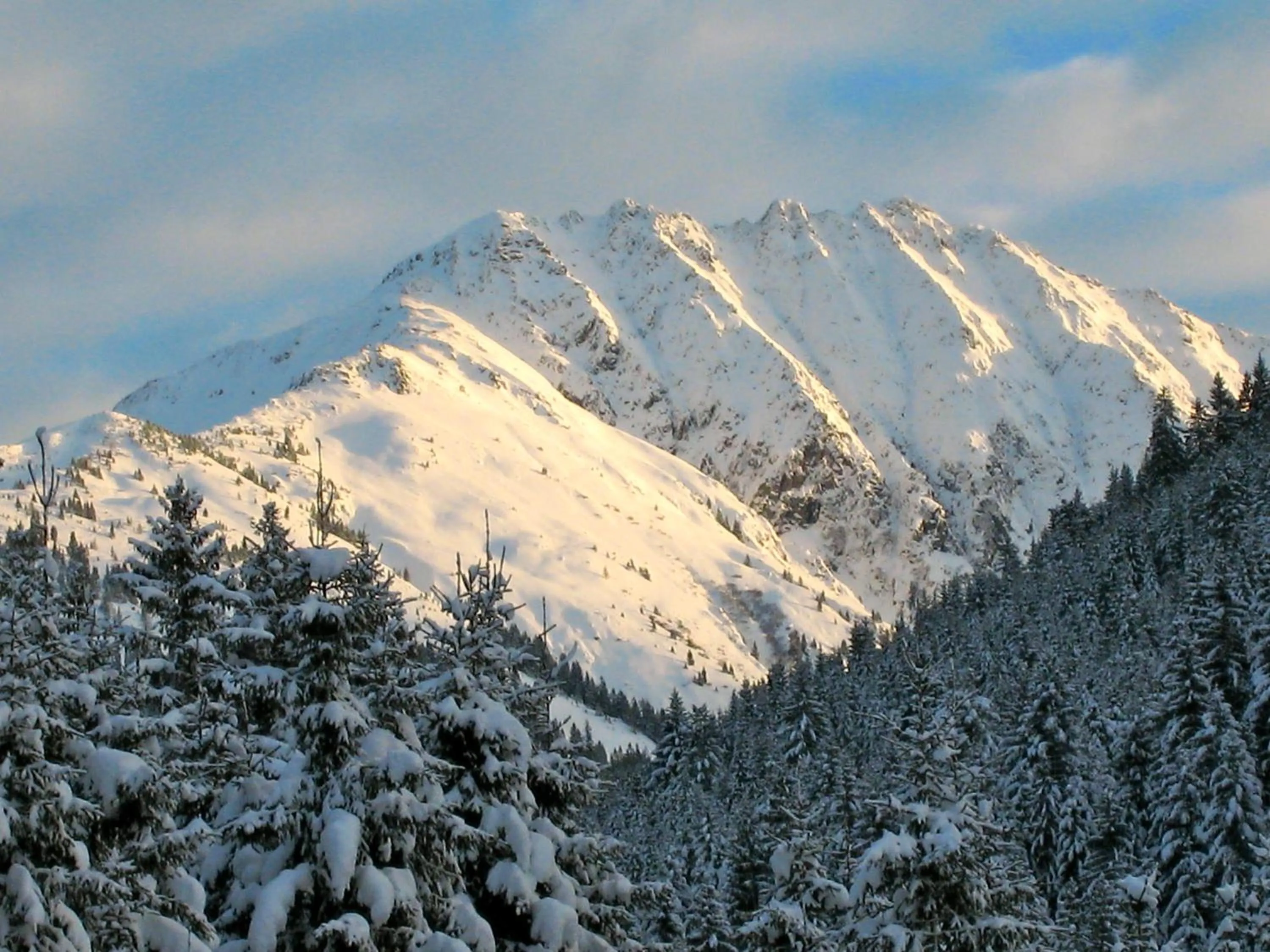 View (from property/room) in Alpen Glück Hotel Kirchberger Hof