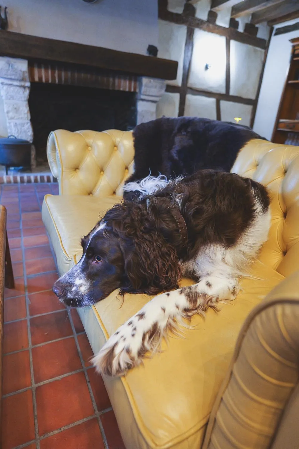 Living room in Auberge Du Cheval Blanc - Teritoria