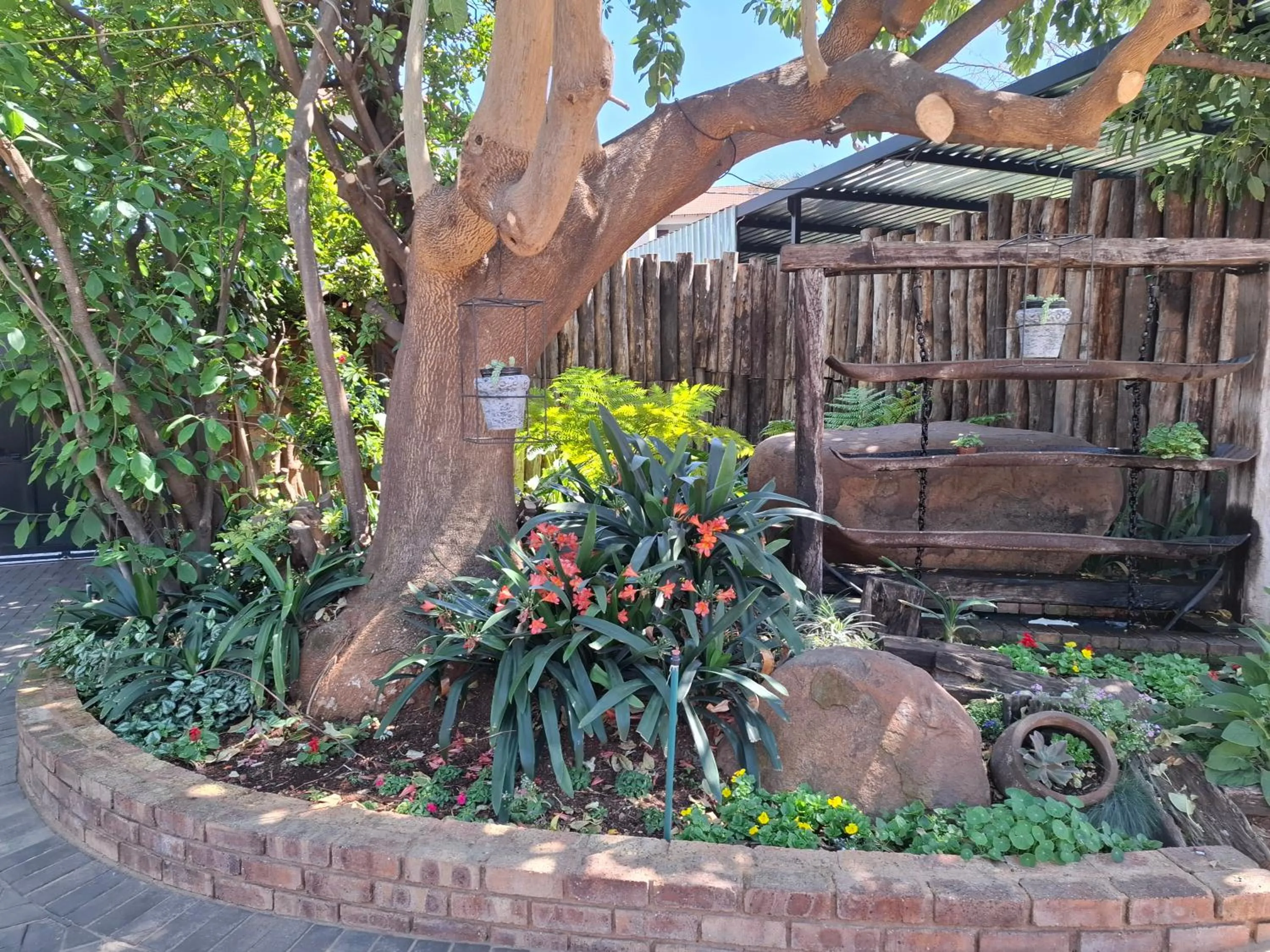 Garden in Sunrock Guesthouse