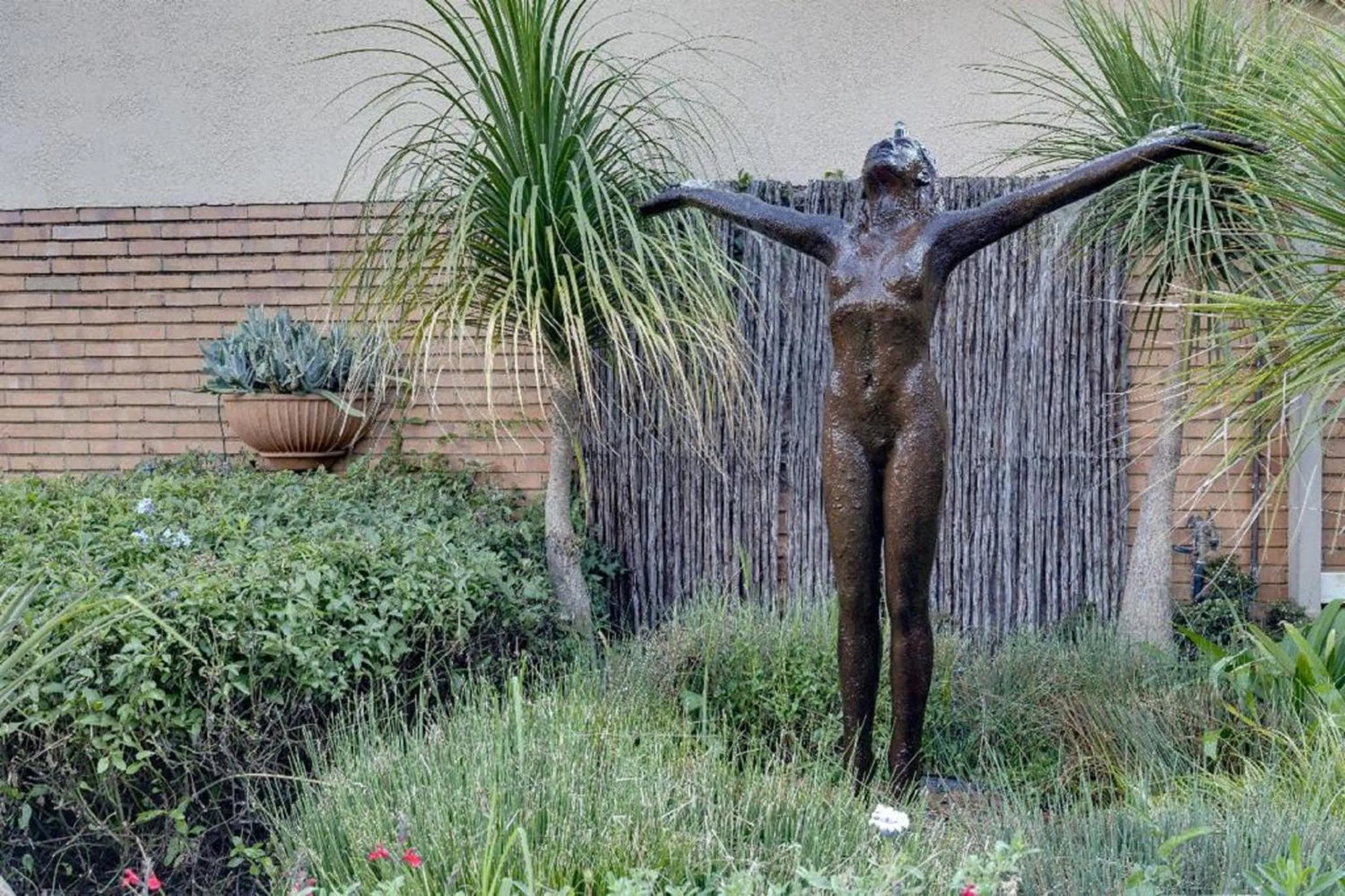 Garden in Sunrock Guesthouse