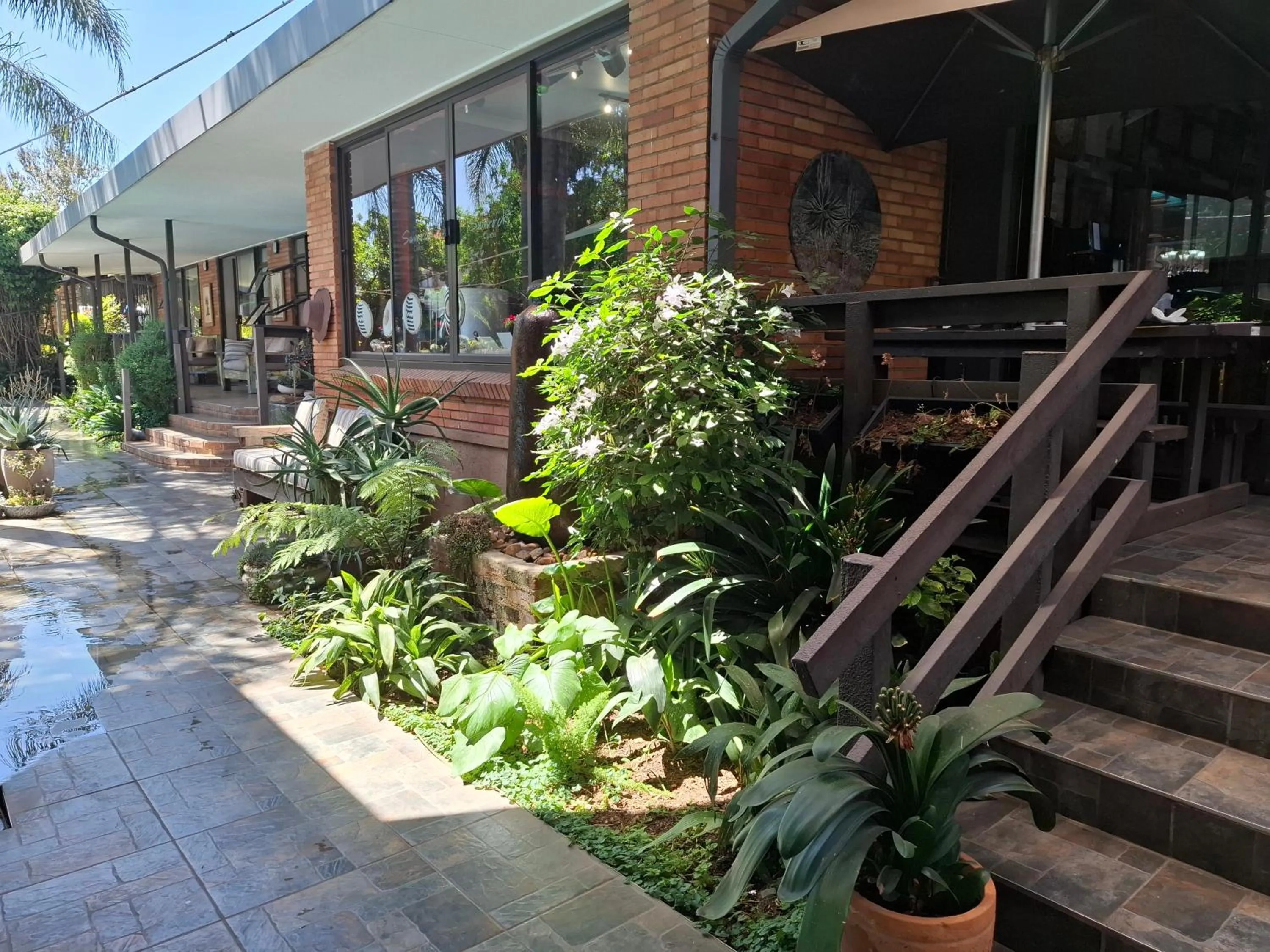 Garden view in Sunrock Guesthouse