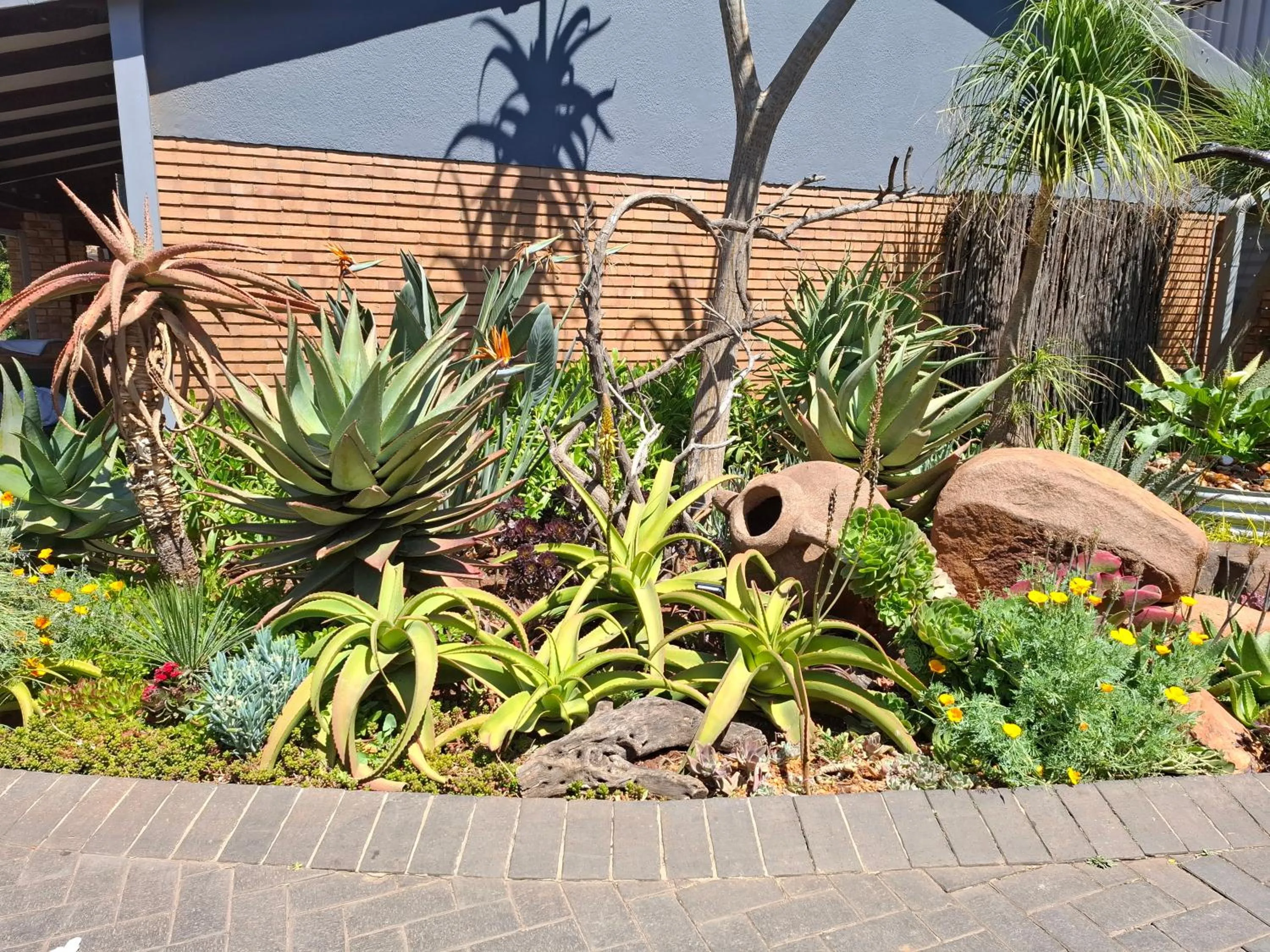 Garden view in Sunrock Guesthouse