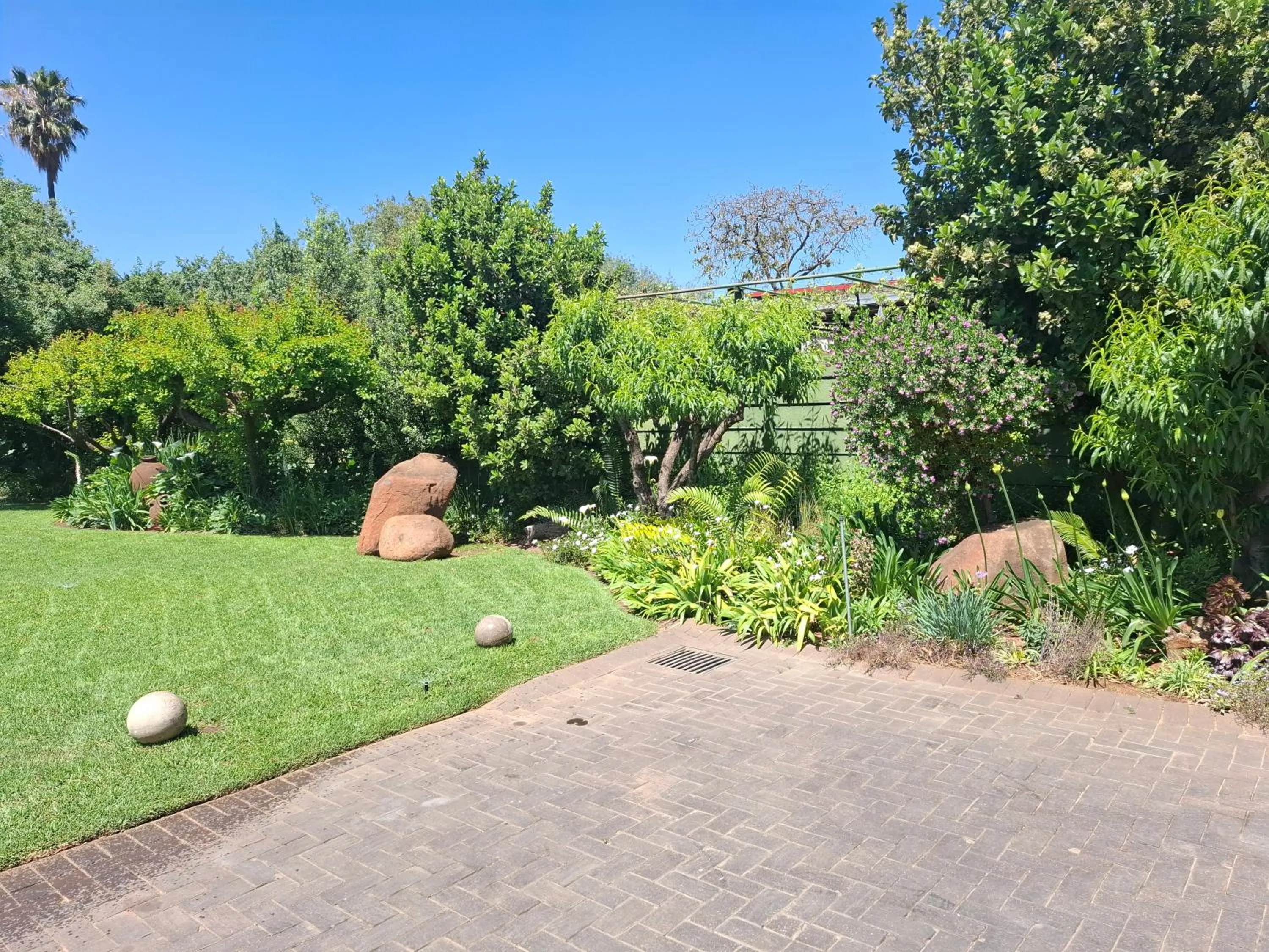 Garden view in Sunrock Guesthouse