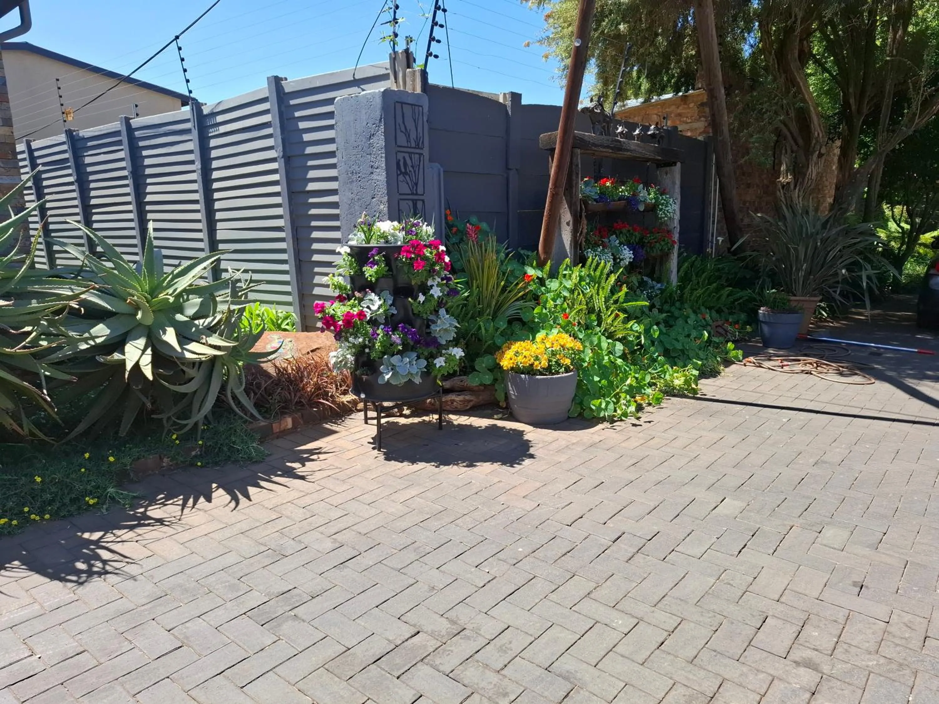 Garden view in Sunrock Guesthouse