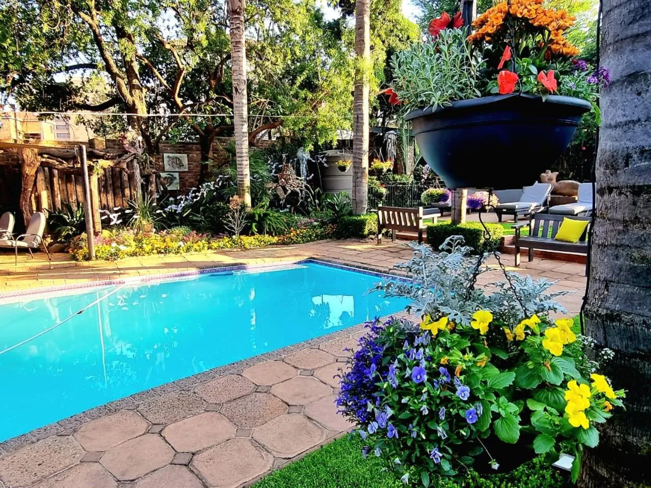 Pool view in Sunrock Guesthouse