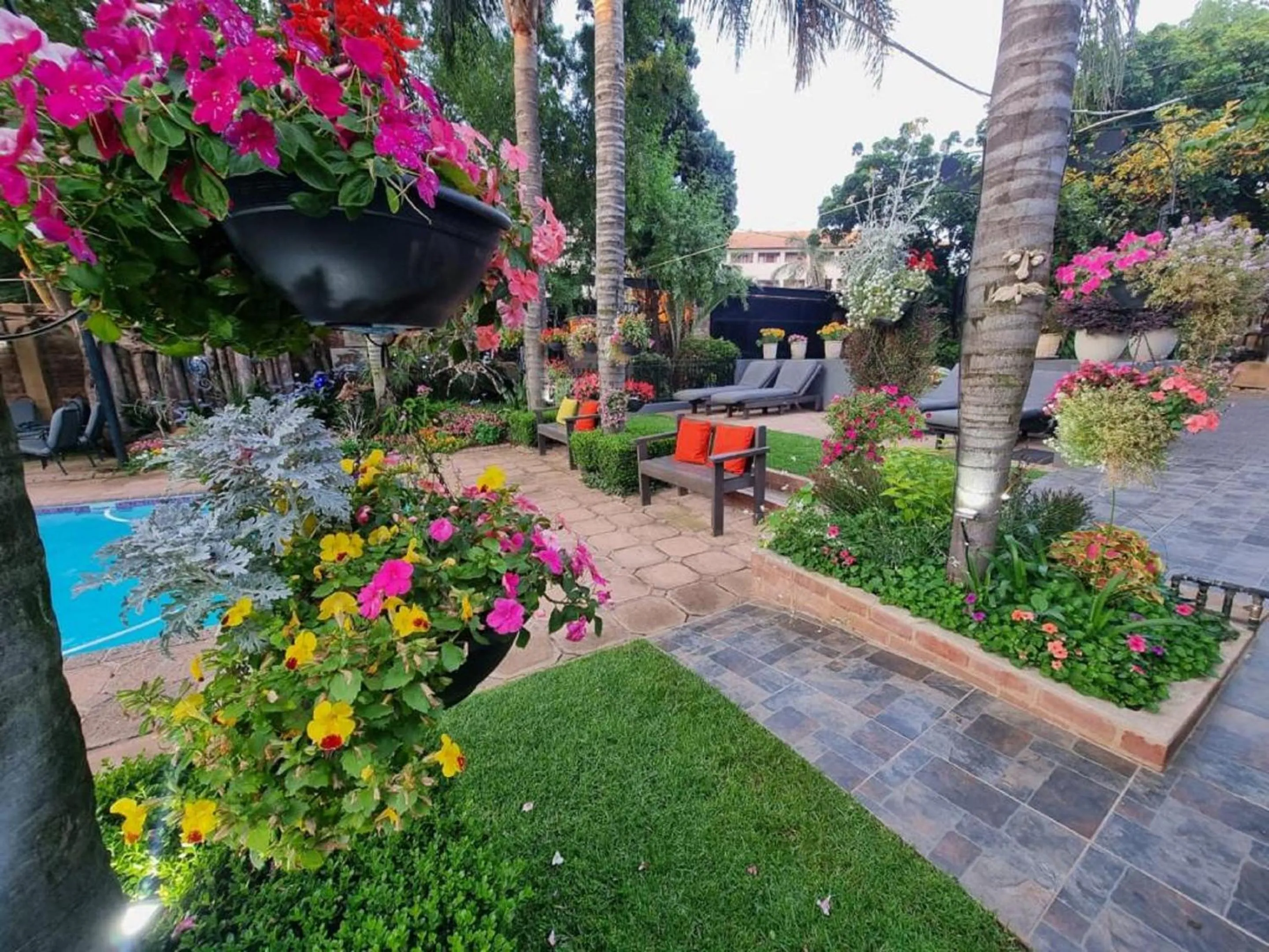 Garden in Sunrock Guesthouse