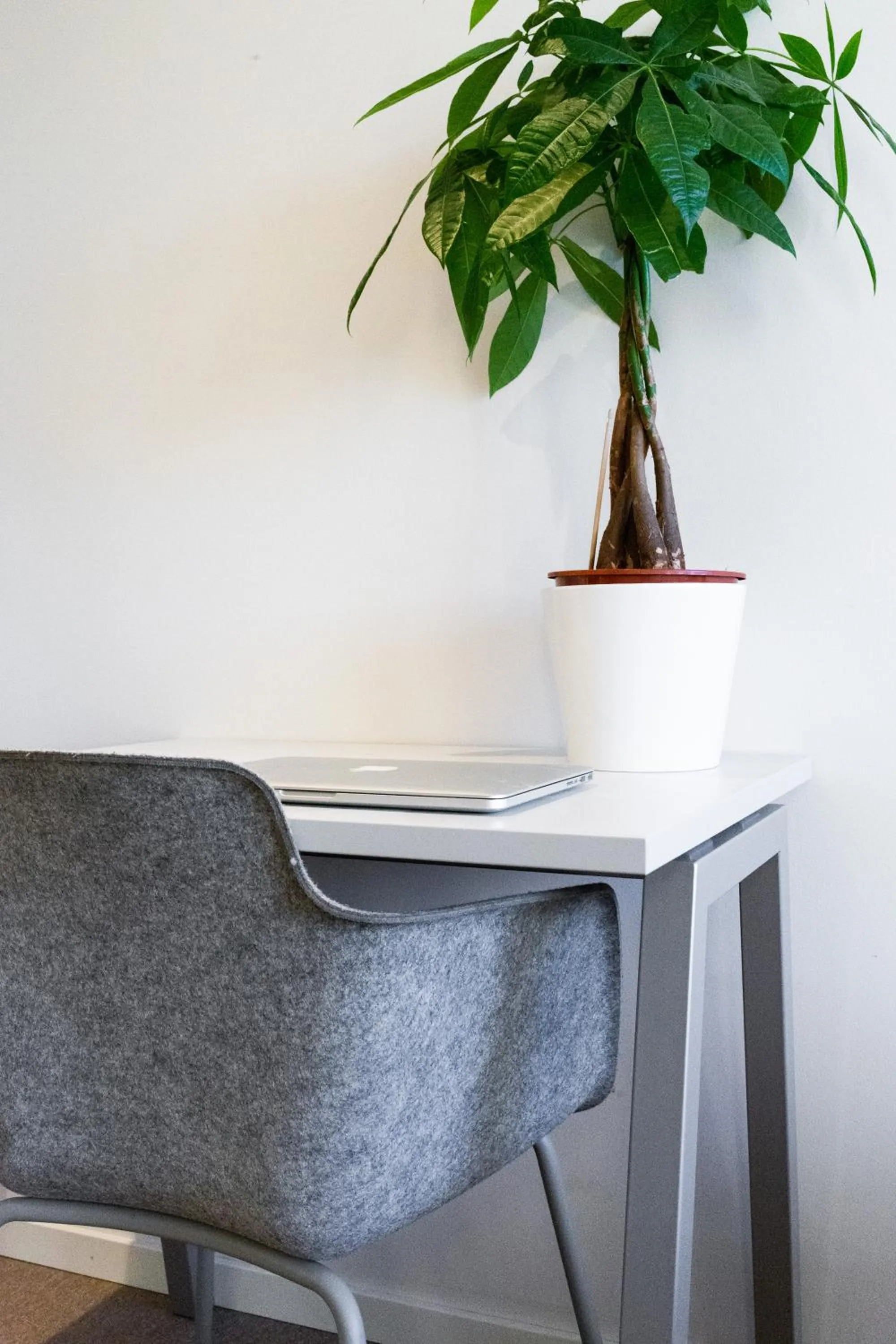 Seating area in Oslo Hostel Rønningen