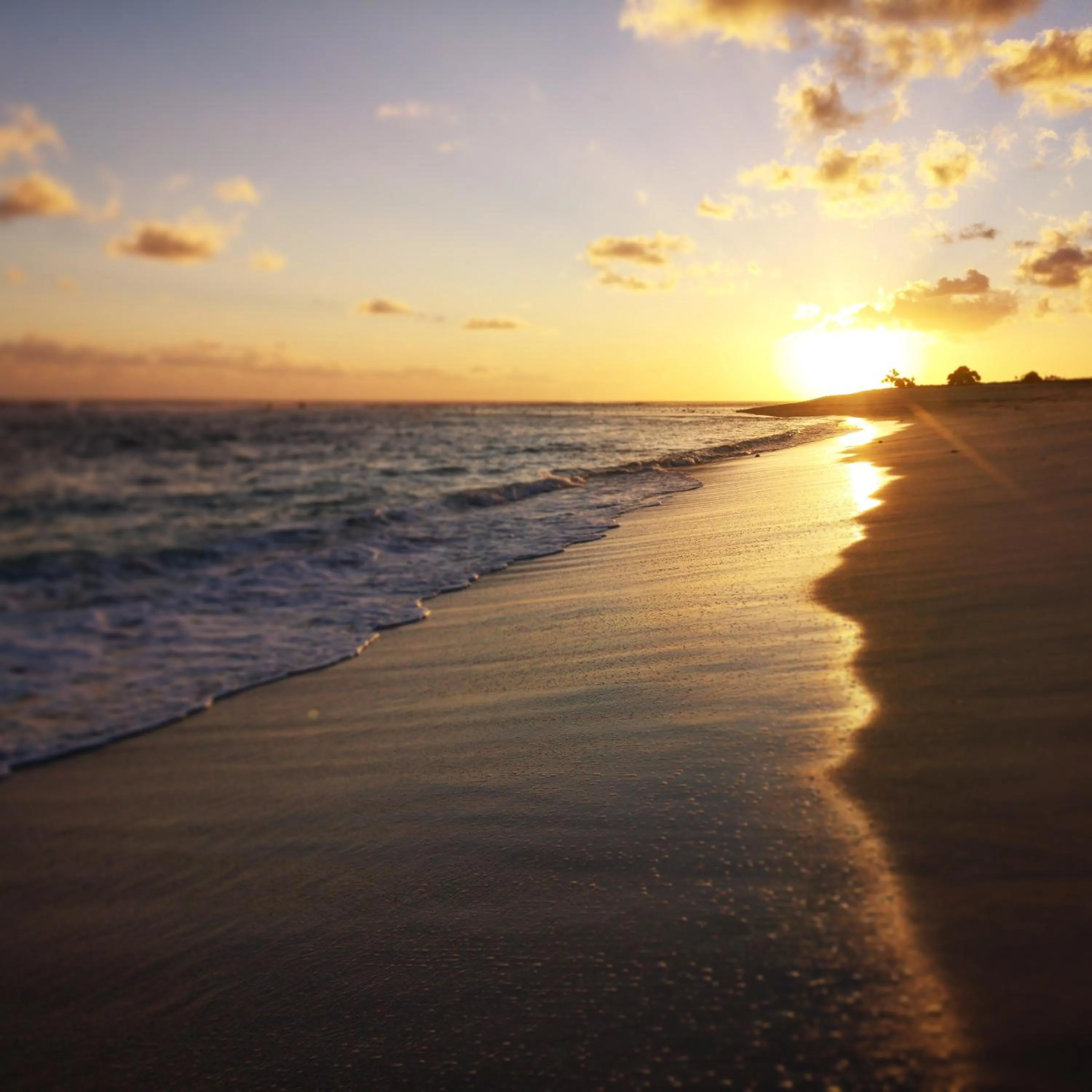 Beach in Boa Hill Surf House