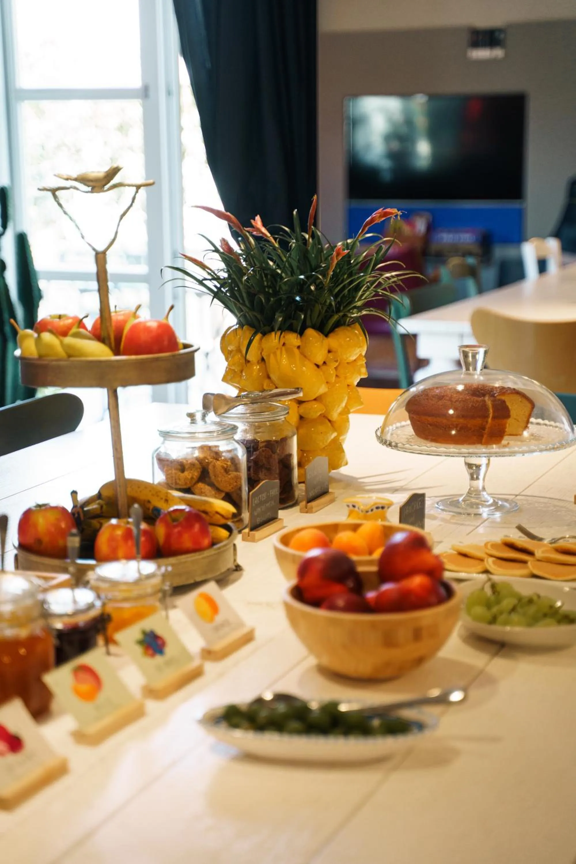 Food and drinks in Accademia 39