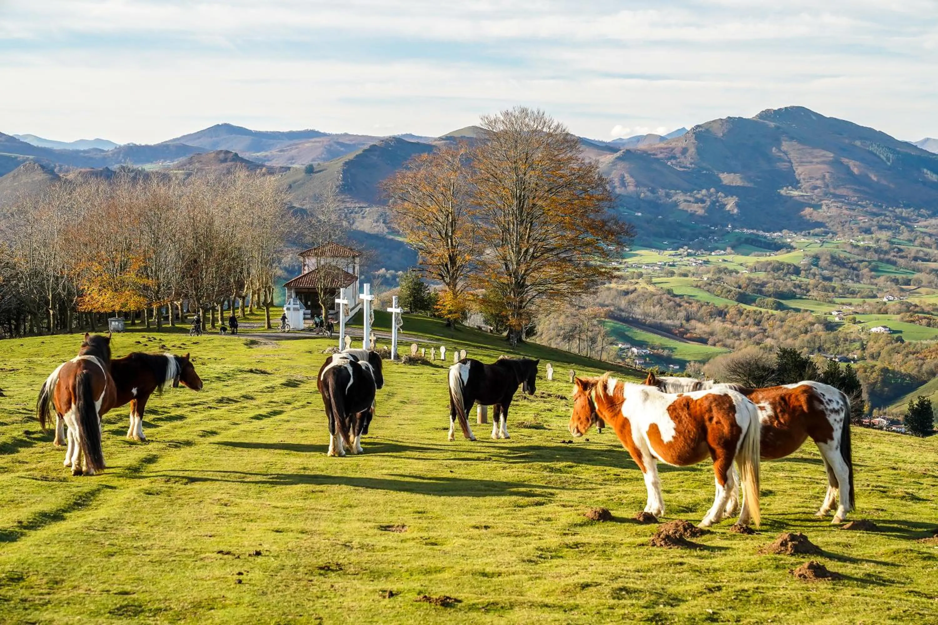 Hôtel Ithurria - Teritoria