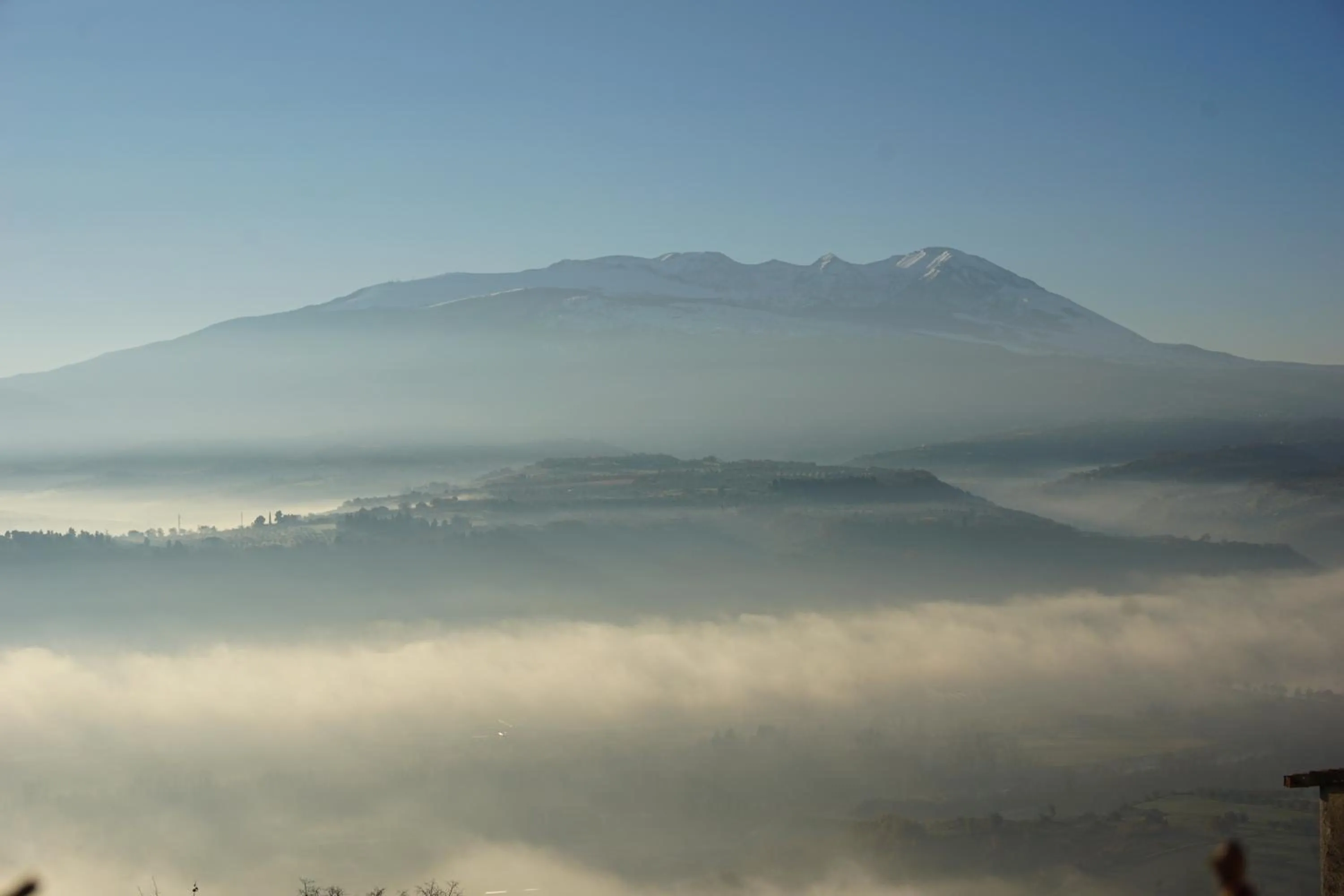 Natural landscape in Palazzo De Fabritiis