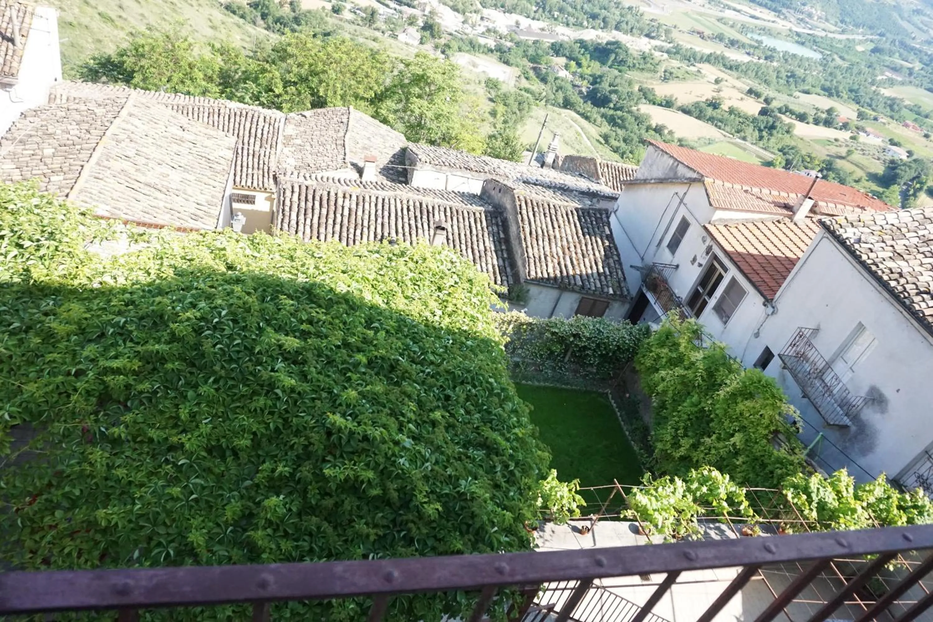 Garden view in Palazzo De Fabritiis