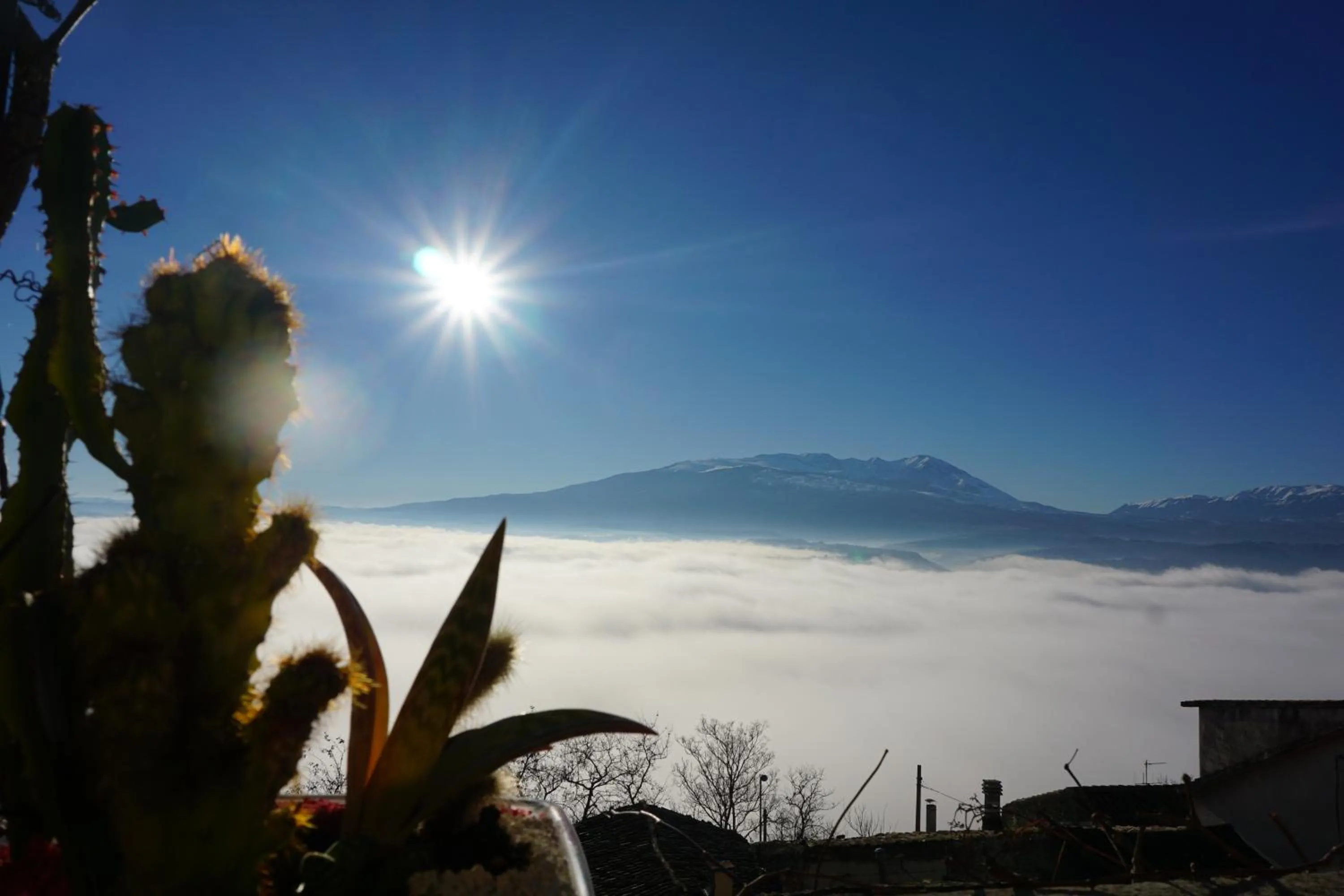 Natural landscape in Palazzo De Fabritiis