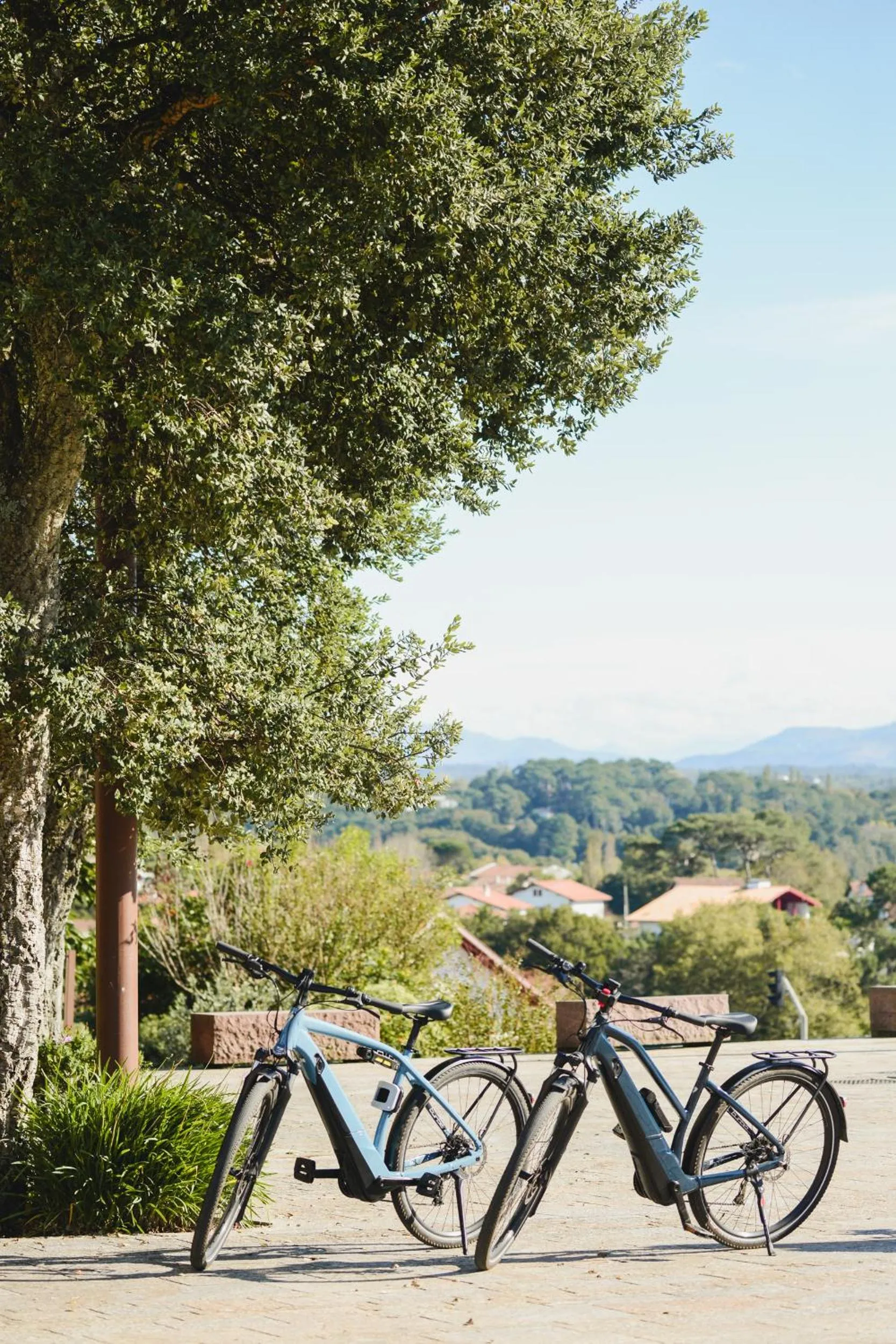 Cycling in Hôtel Les Frères Ibarboure