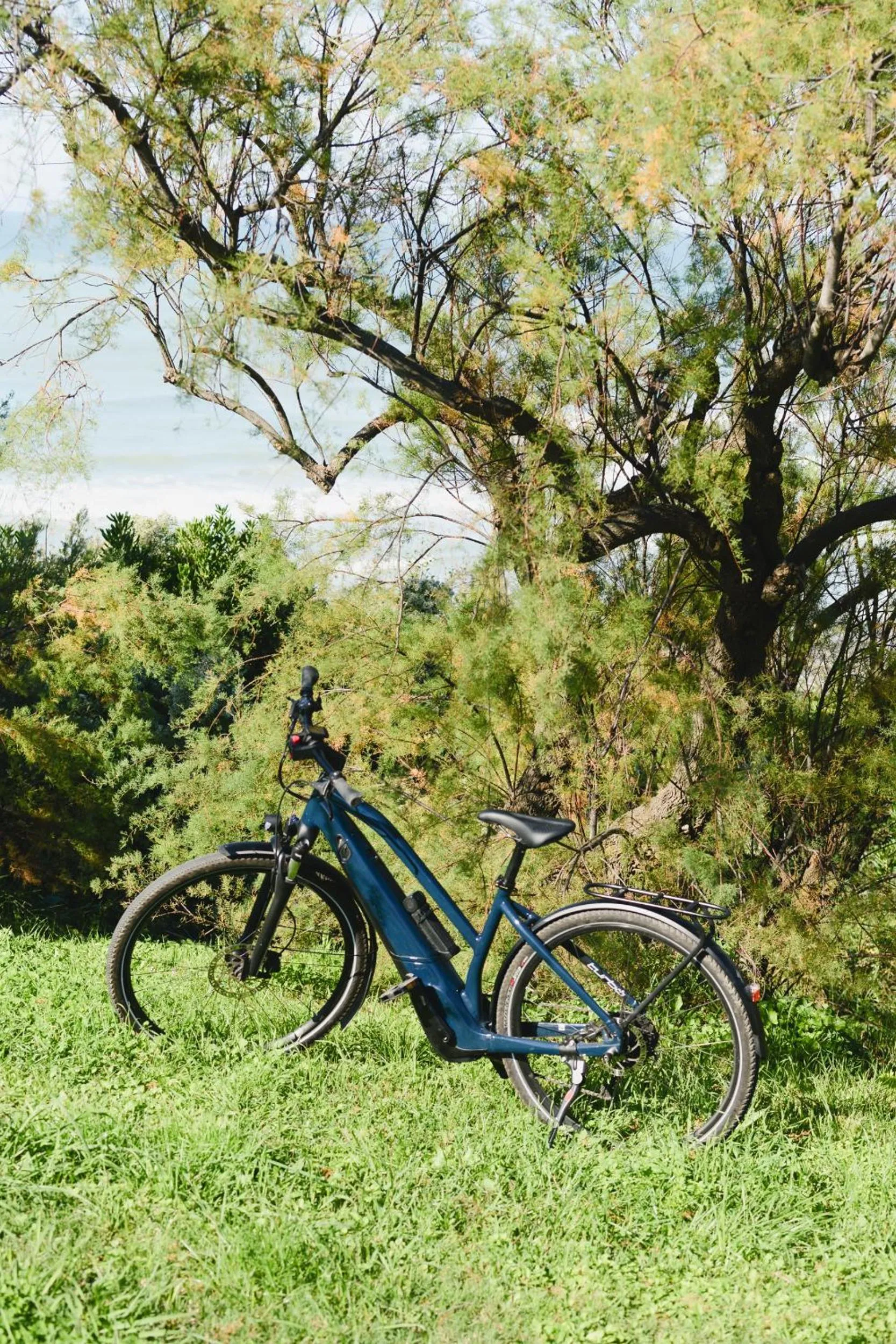 Cycling in Hôtel Les Frères Ibarboure