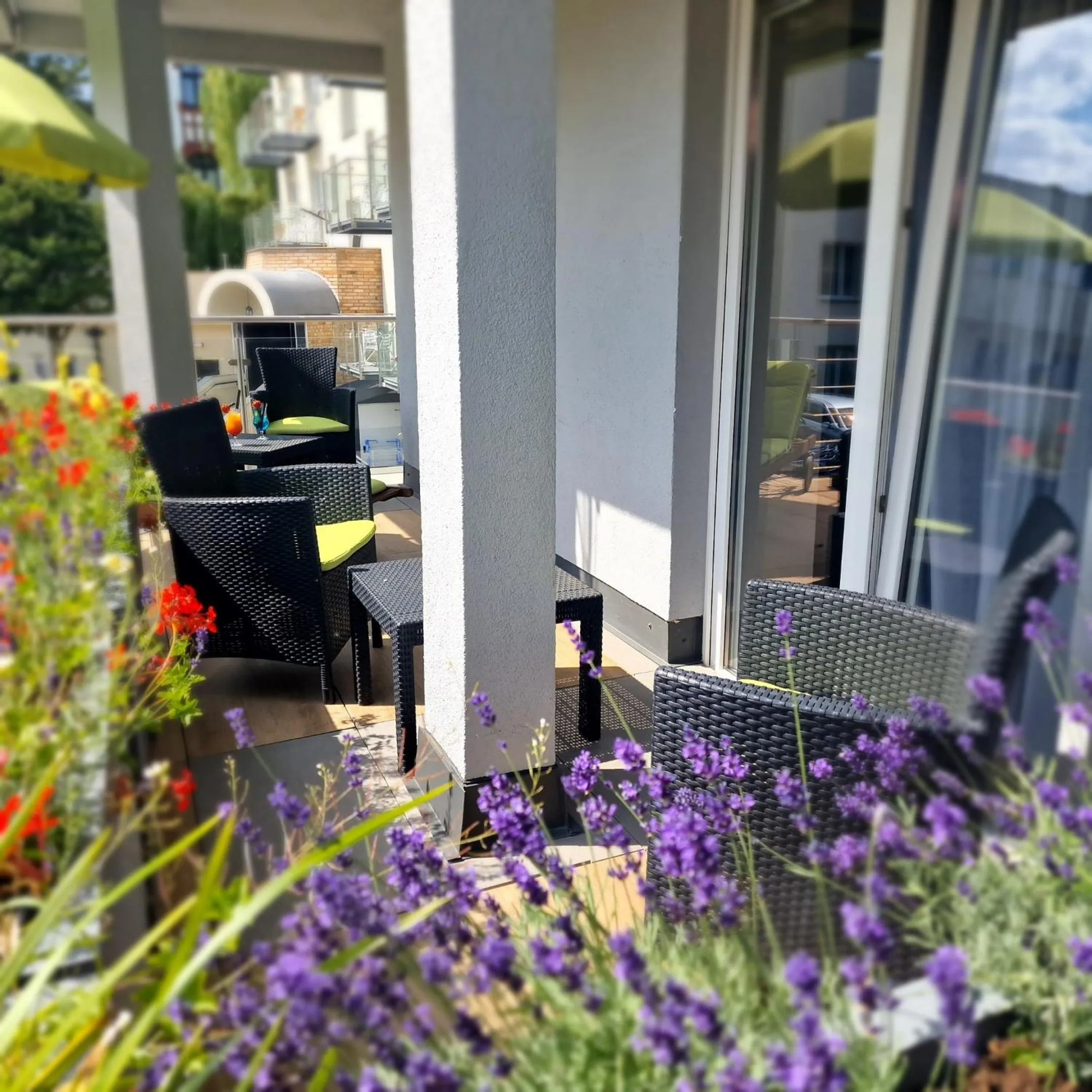 Garden view in Villa Delfin Spa