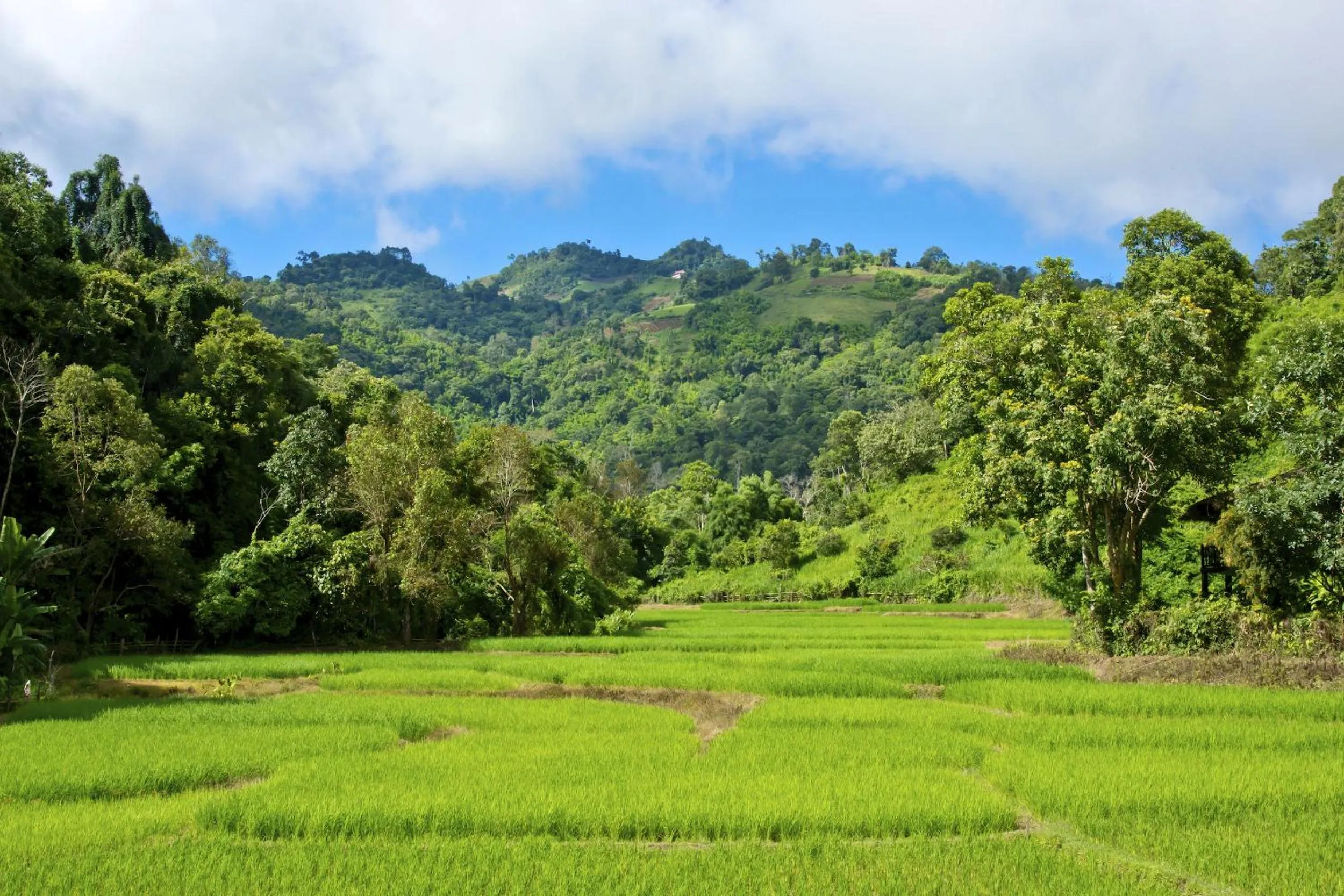 Natural landscape in Hmong Hilltribe Lodge