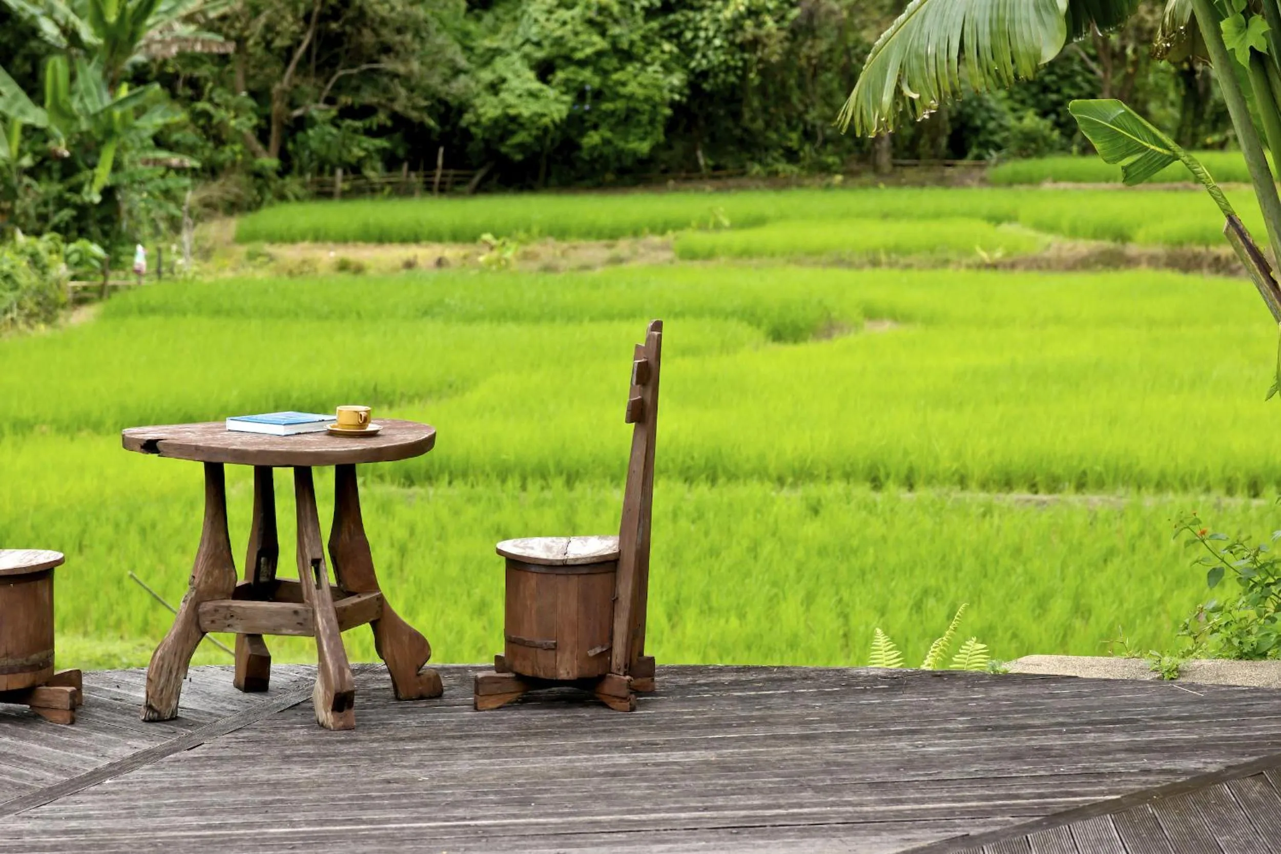 Natural landscape in Hmong Hilltribe Lodge