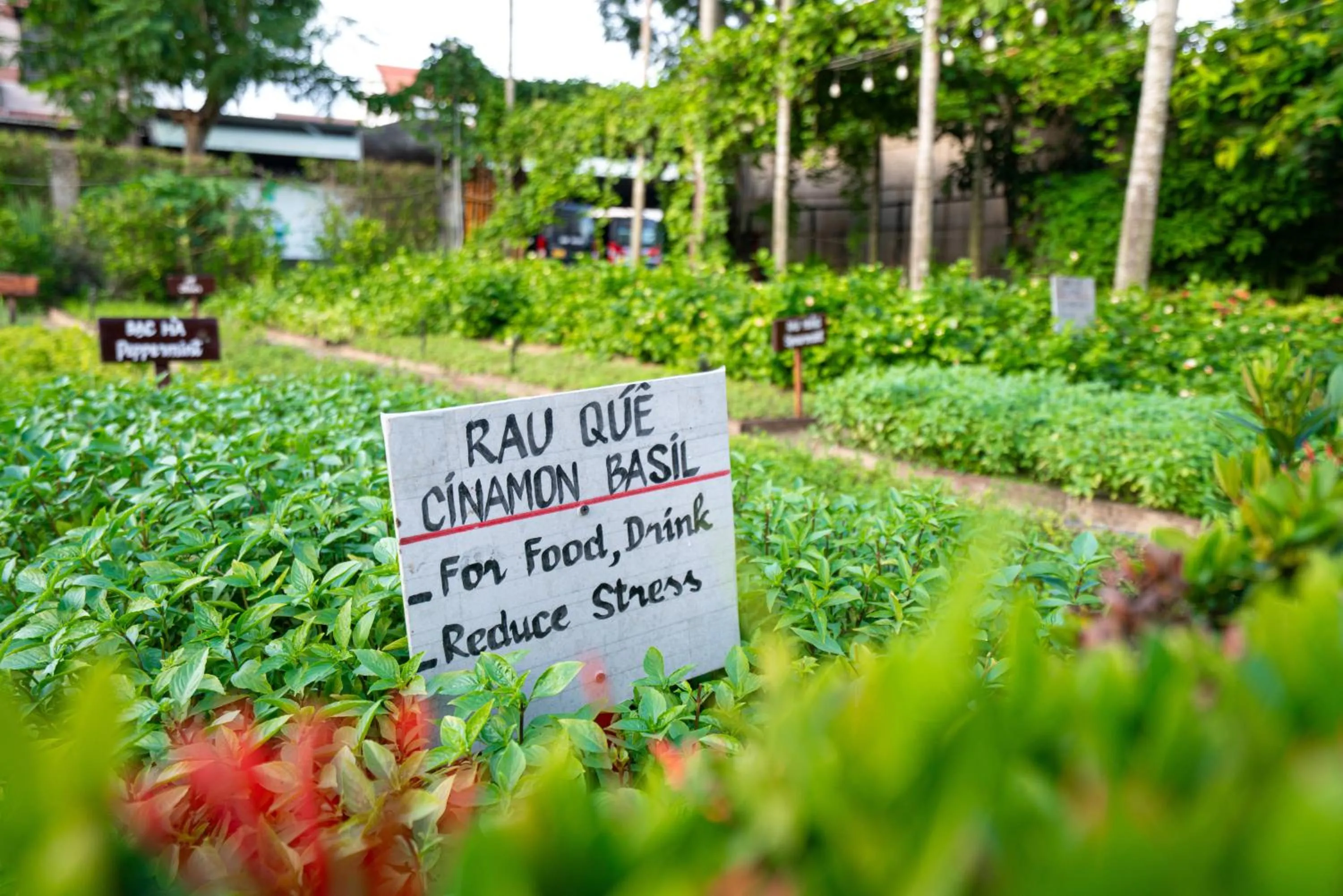 Garden in Silk Sense Hoi An River Resort - Green Luxury Escape