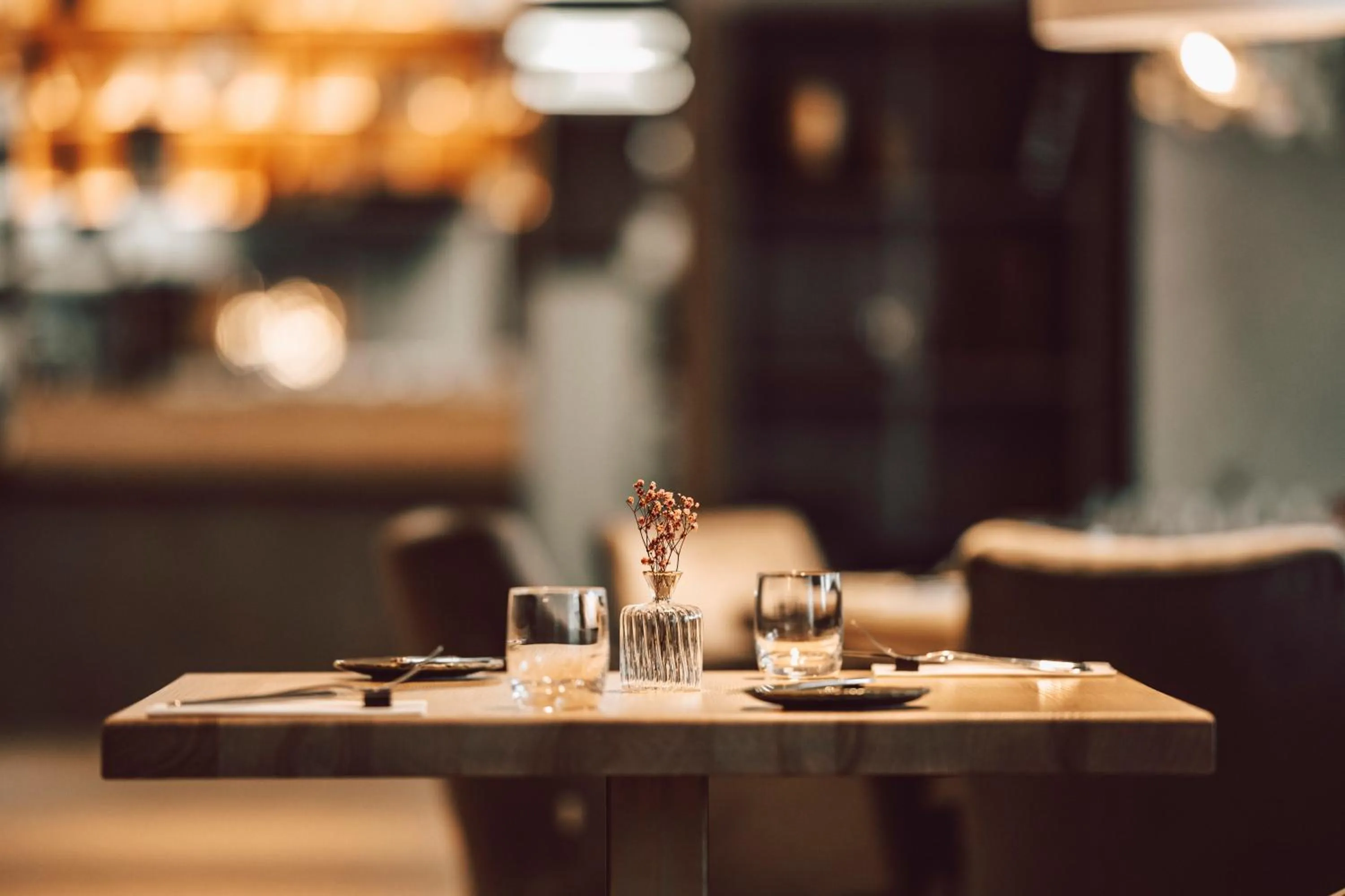 Restaurant/places to eat in Hotel Palcát