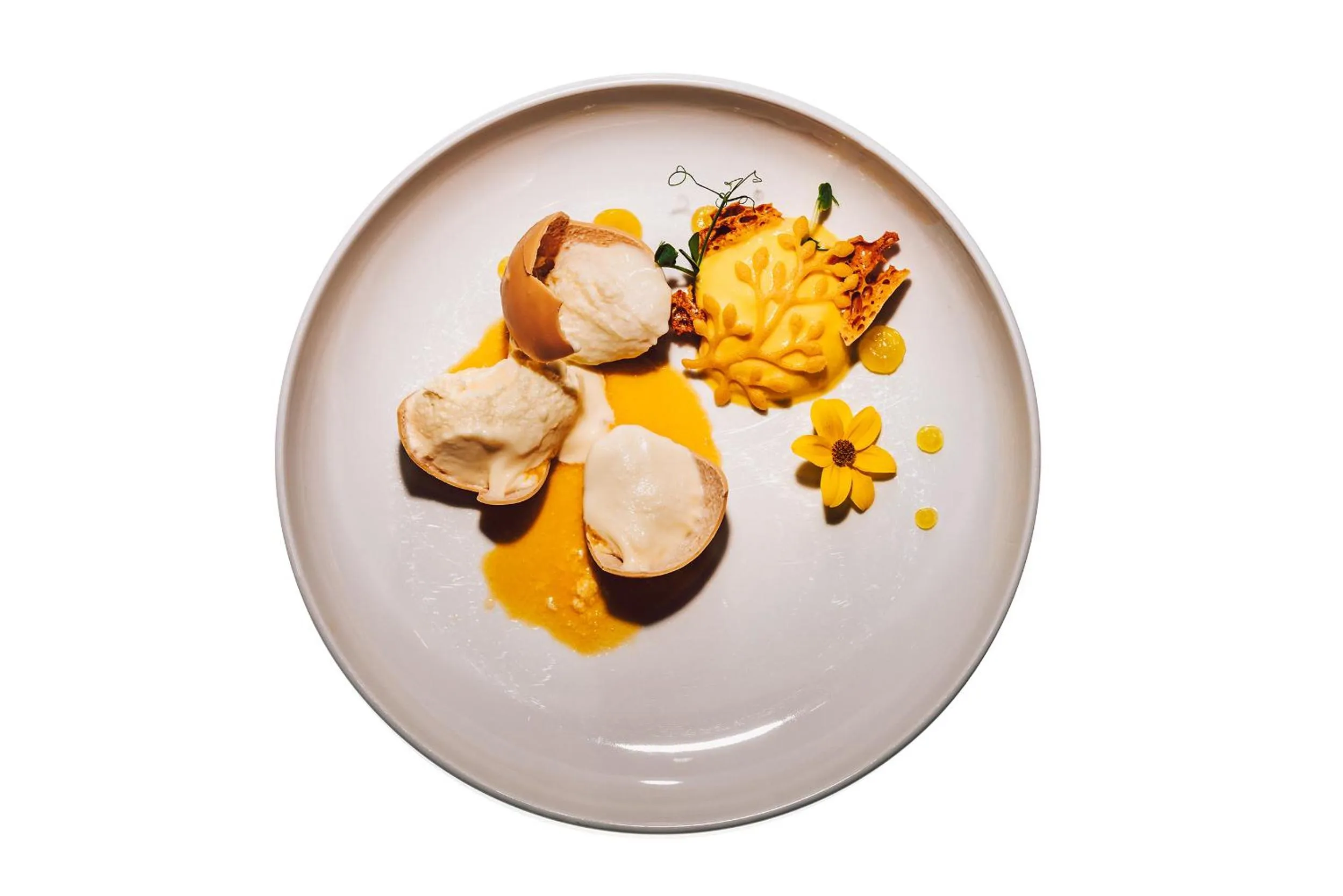 Restaurant/places to eat in Hotel Palcát