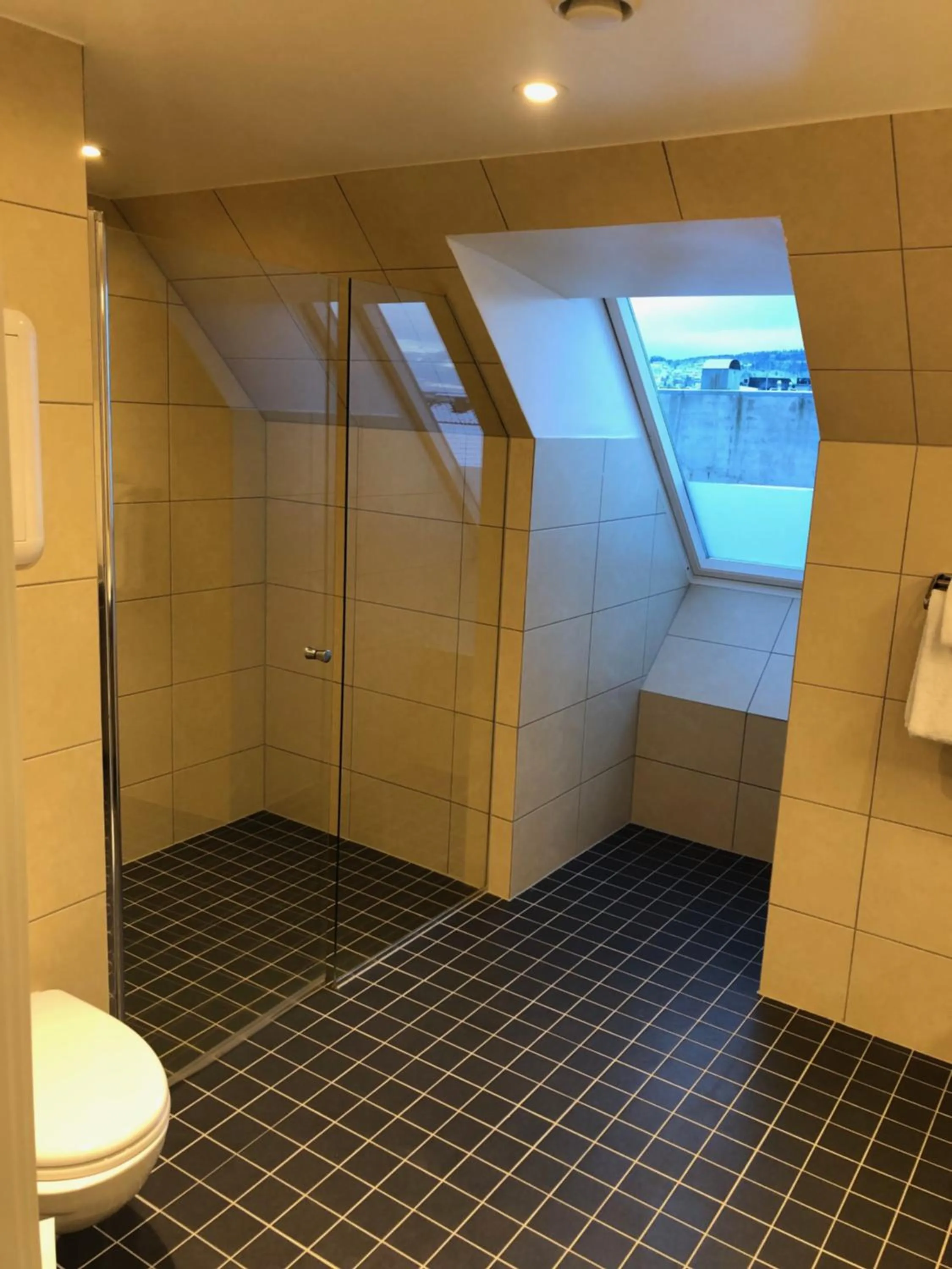 Toilet in Best Western Plus Hotel Bakeriet