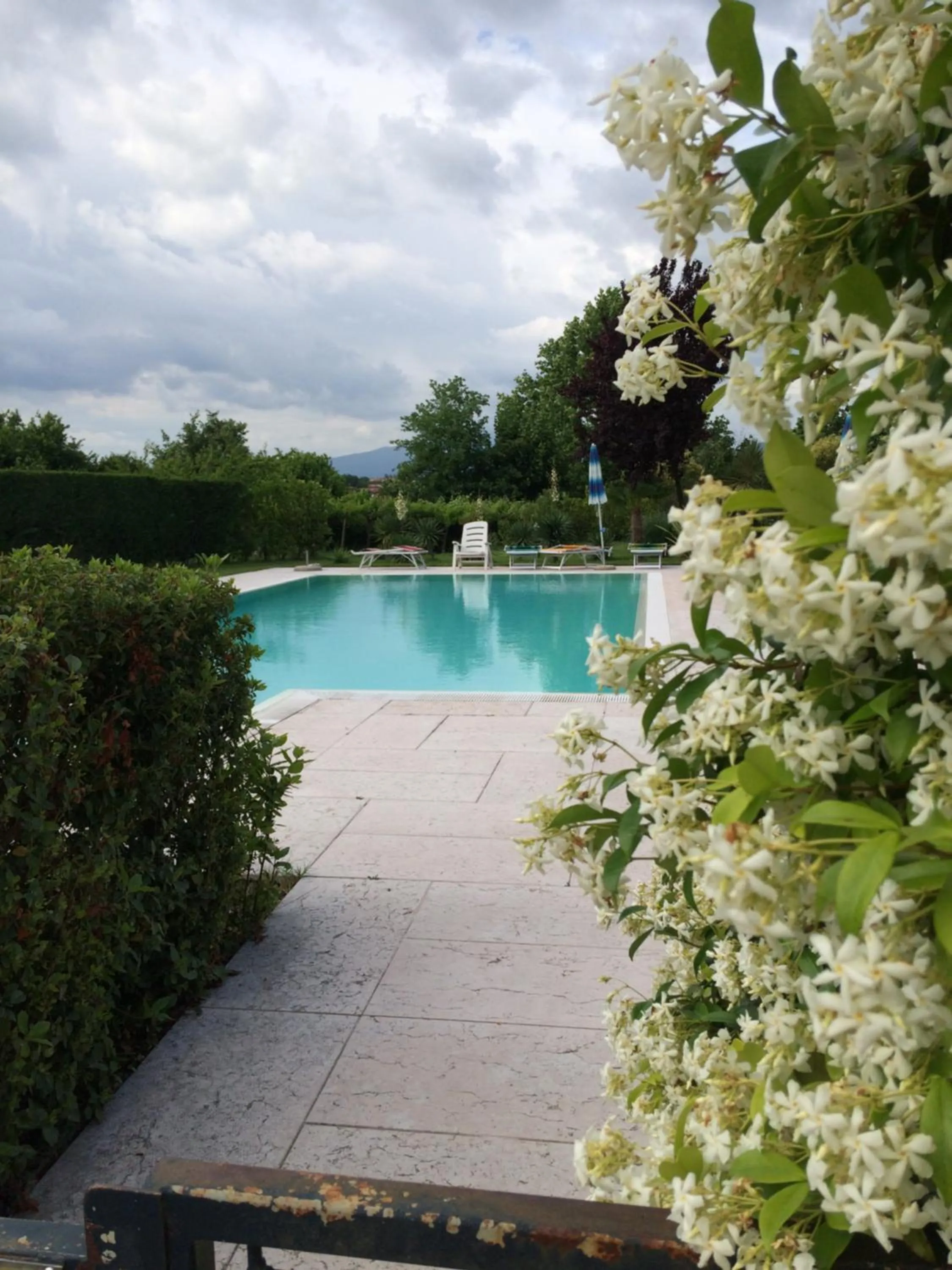 Swimming pool in Agriturismo La Palazzina