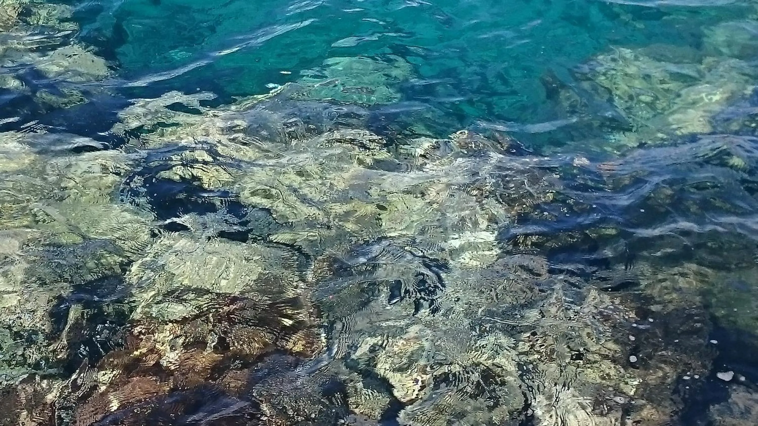 Natural landscape in Mythos- Platanias- Hotel -Apts