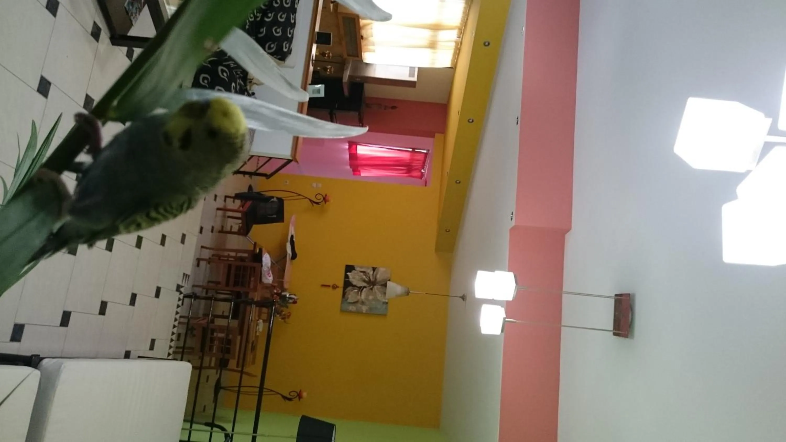 Photo of the whole room in Mythos- Platanias- Hotel -Apts