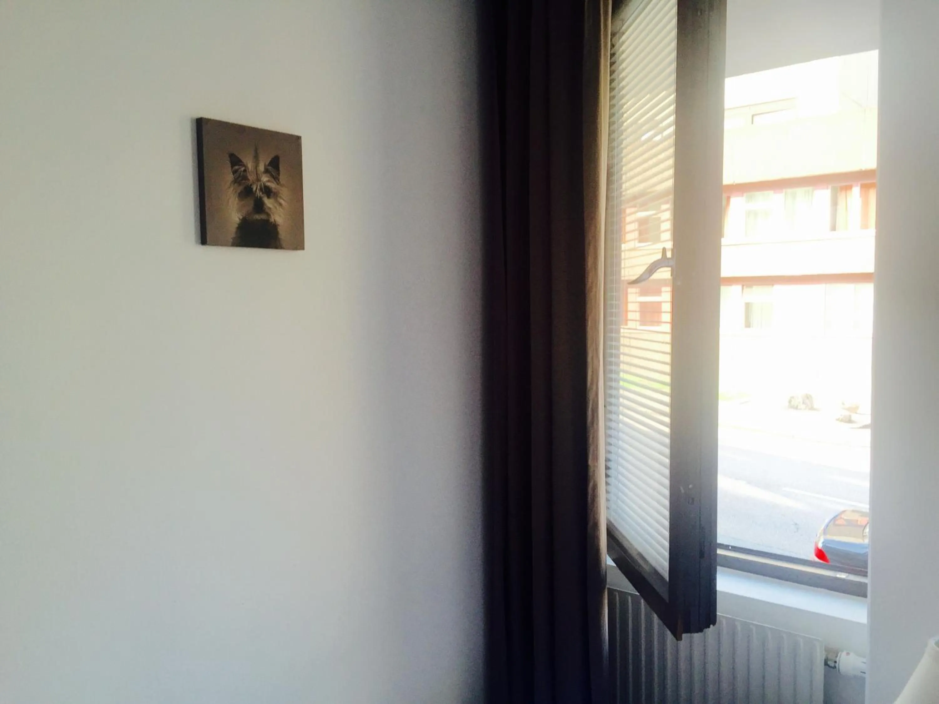 Day in Linné Hostel