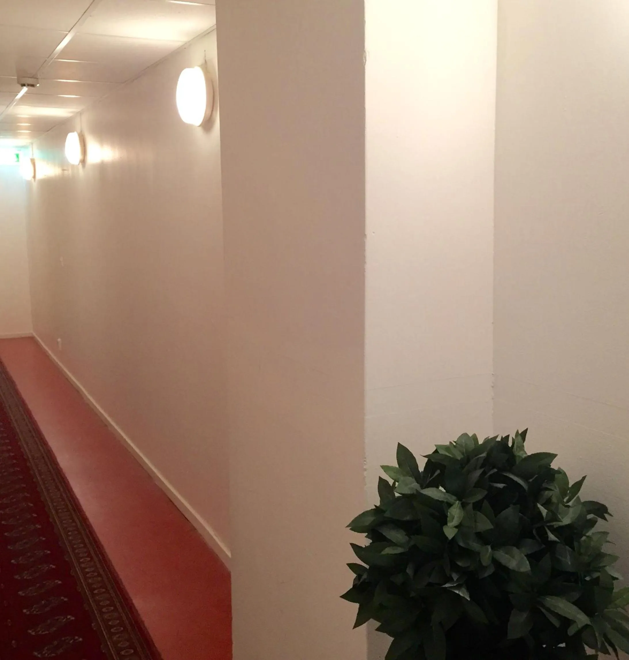 Decorative detail in Linné Hostel