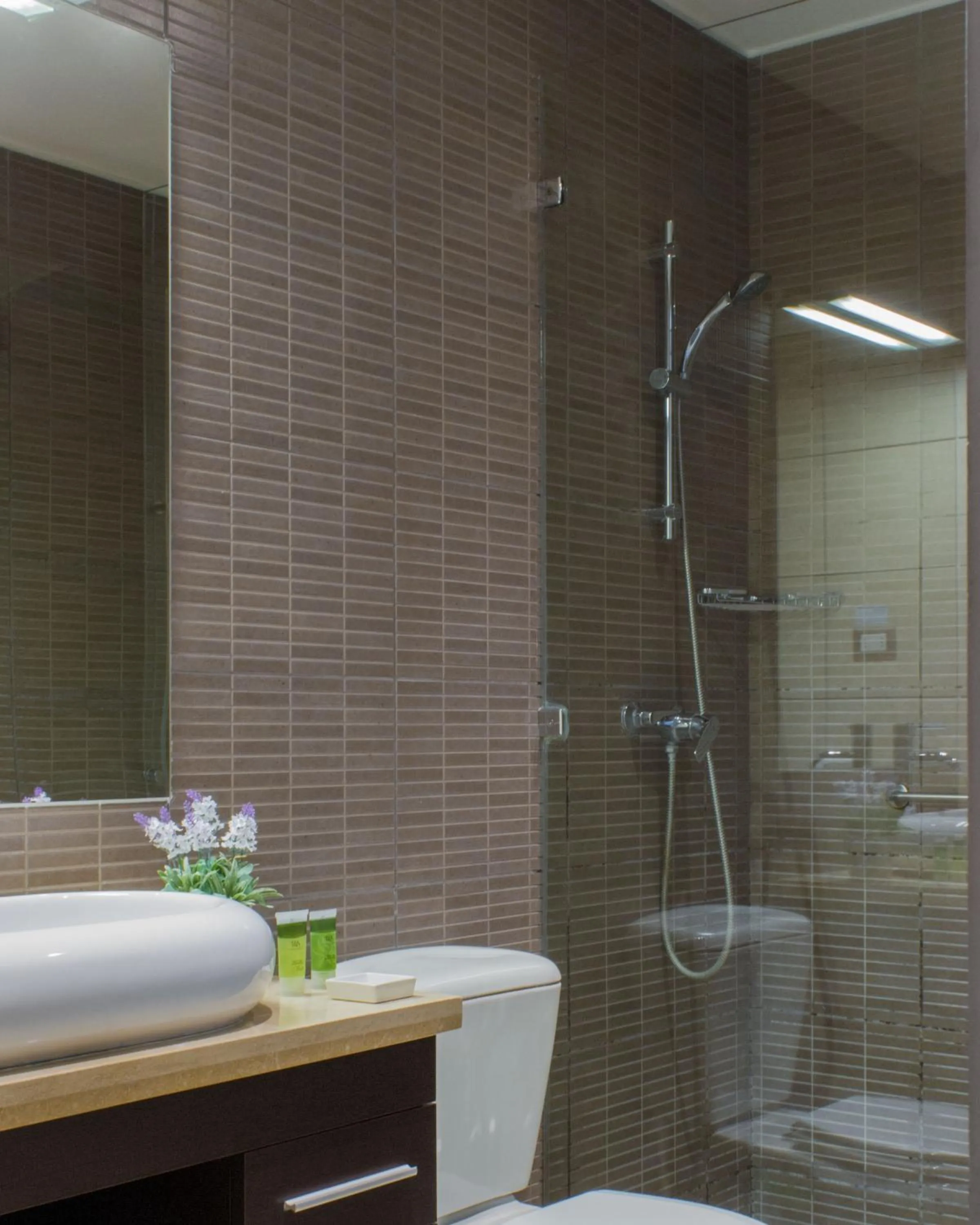 Bathroom in Lastarria Aparts