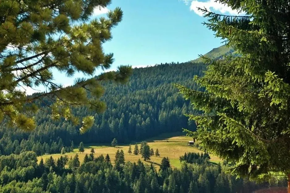 Ciasa Alpina Relax Hotel