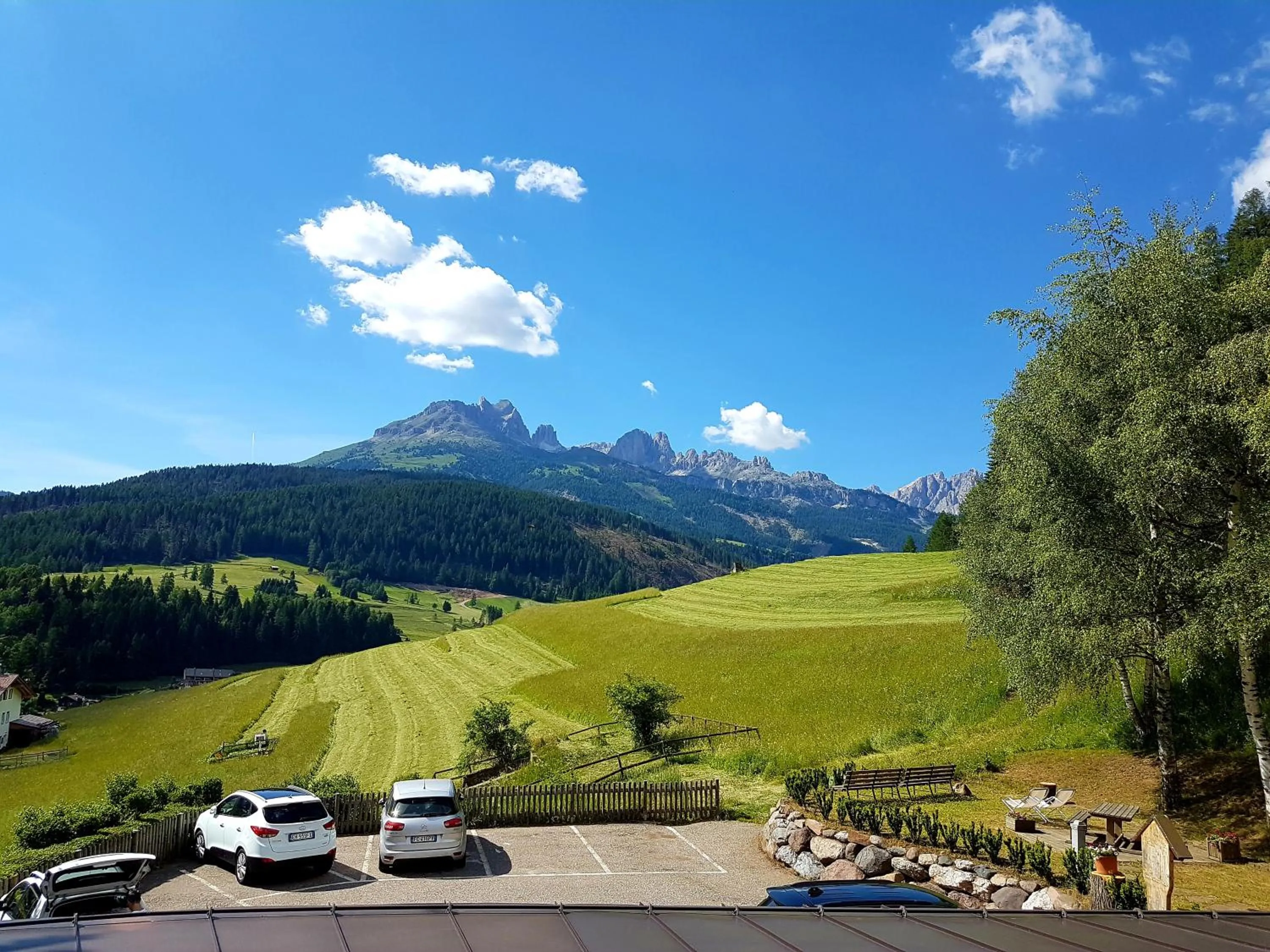 Garden view in Ciasa Alpina Relax Hotel