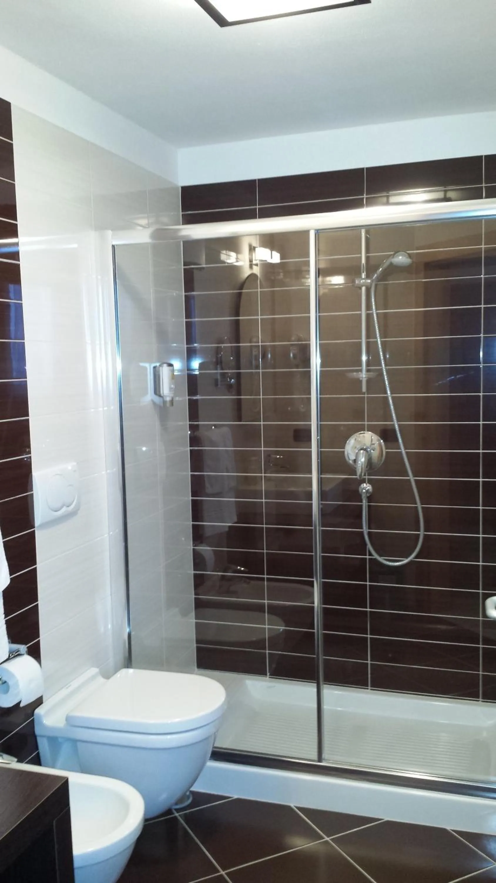 Shower in Ciasa Alpina Relax Hotel