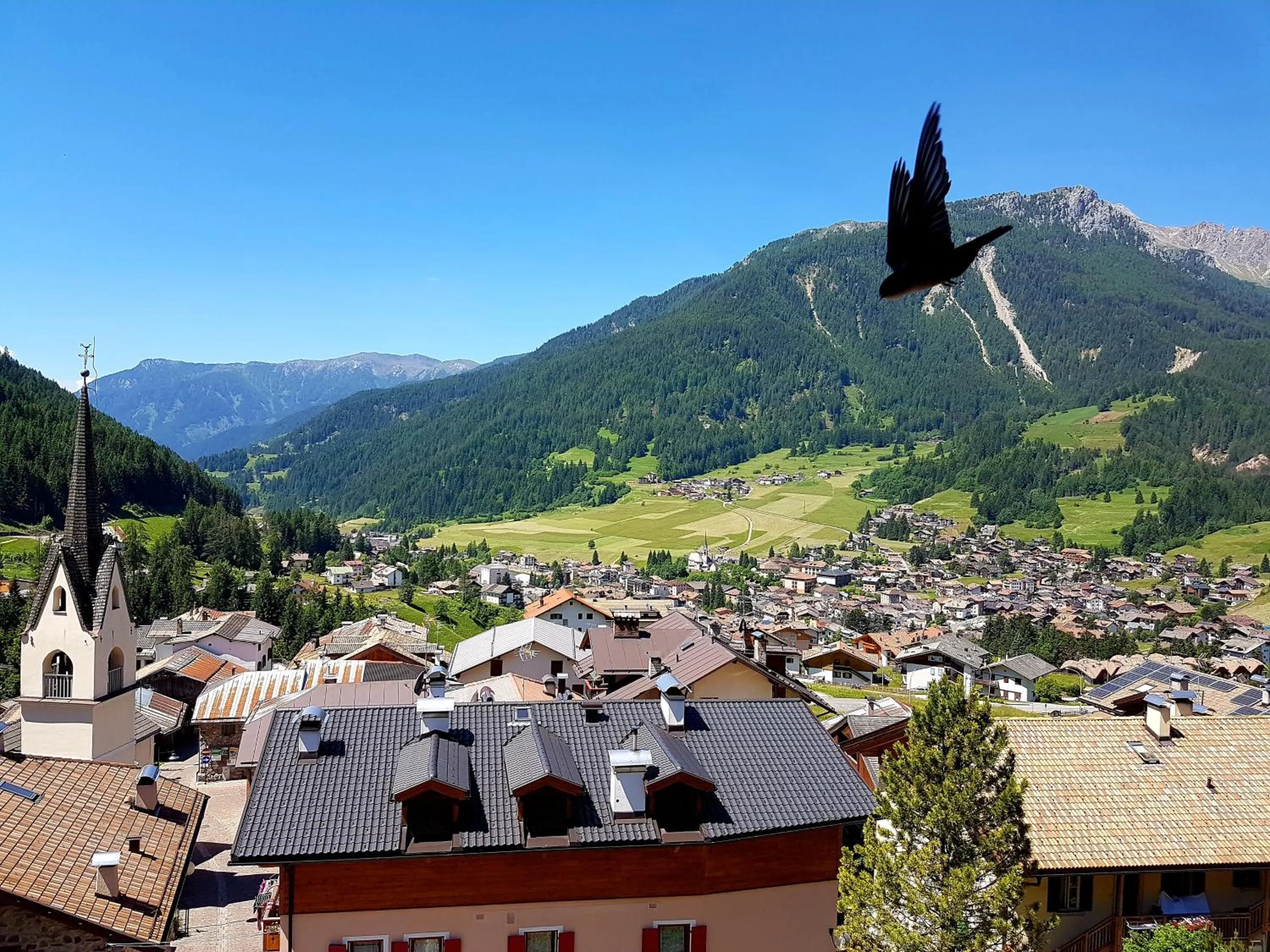 Ciasa Alpina Relax Hotel