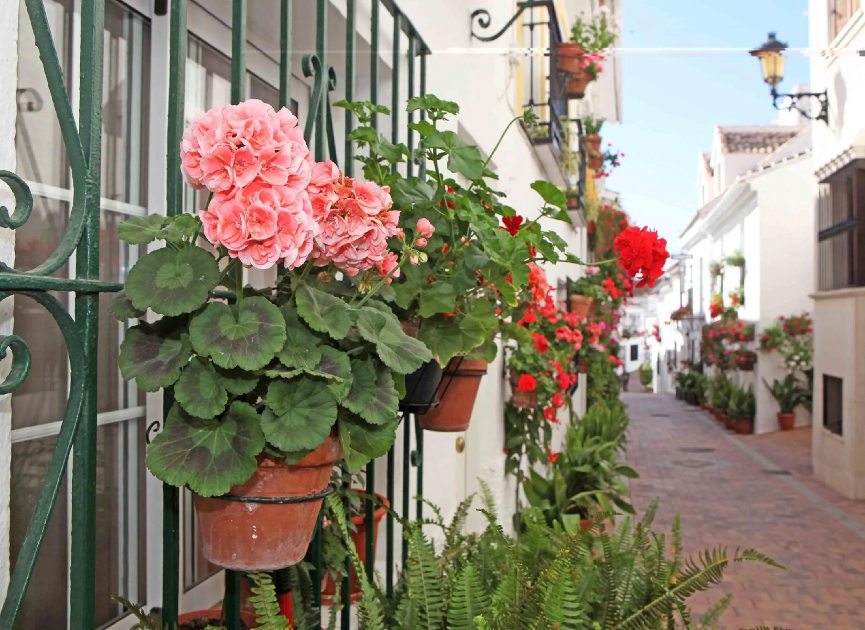 Facade/entrance in I AM La Posada Hotel and Apartment