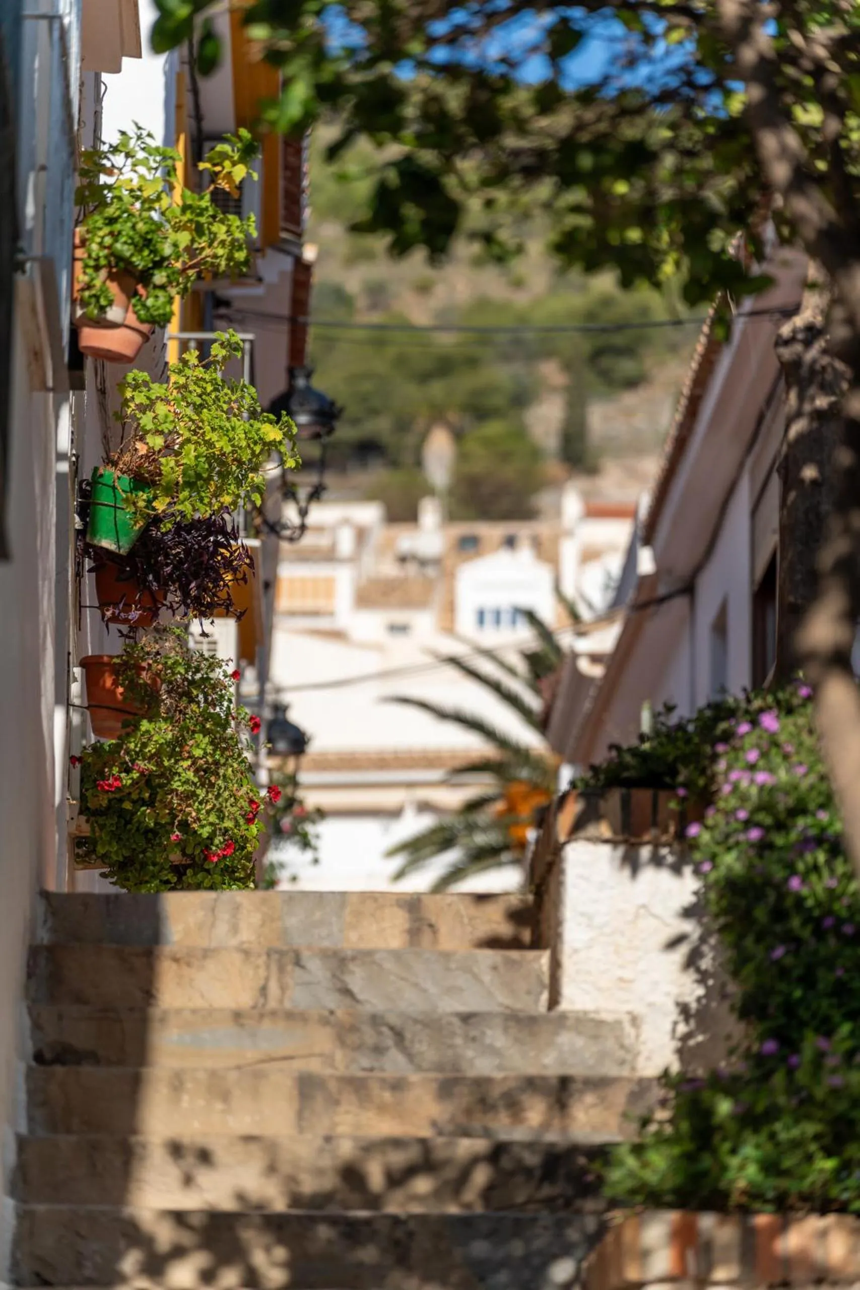 Day in I AM La Posada Hotel and Apartment