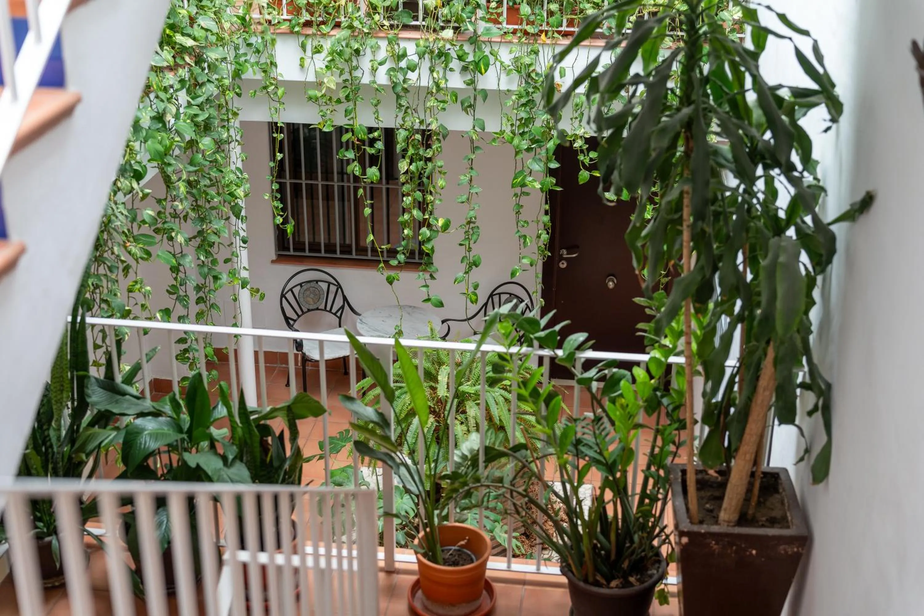 Patio in I AM La Posada Hotel and Apartment