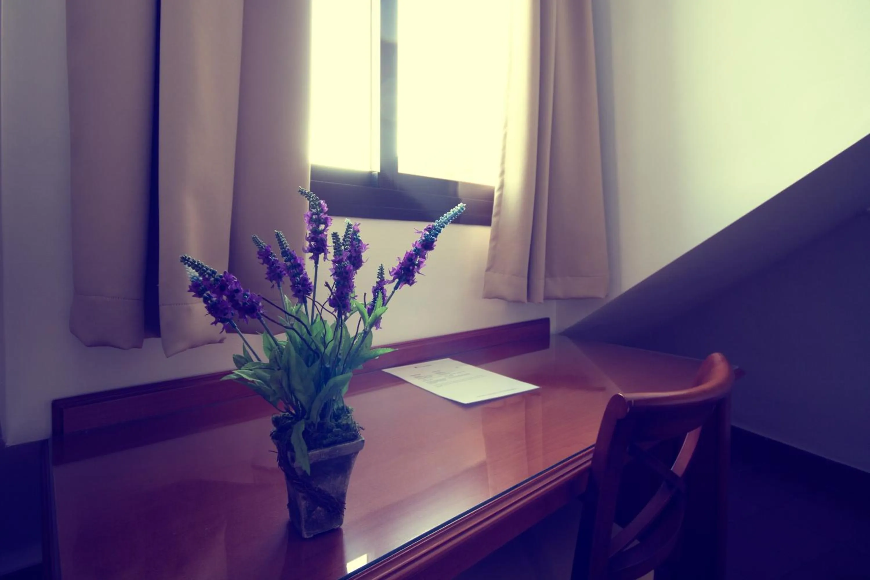 Decorative detail in I AM La Posada Hotel and Apartment