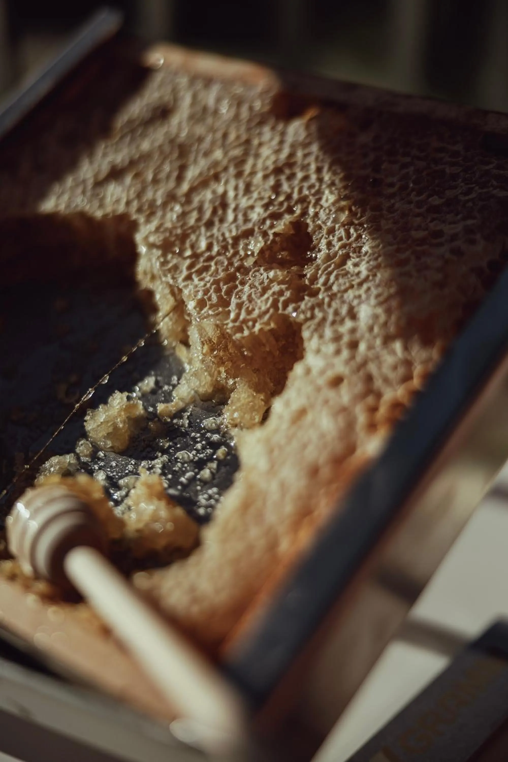 Food and drinks in SK Active hotel - ex Garni Hotello