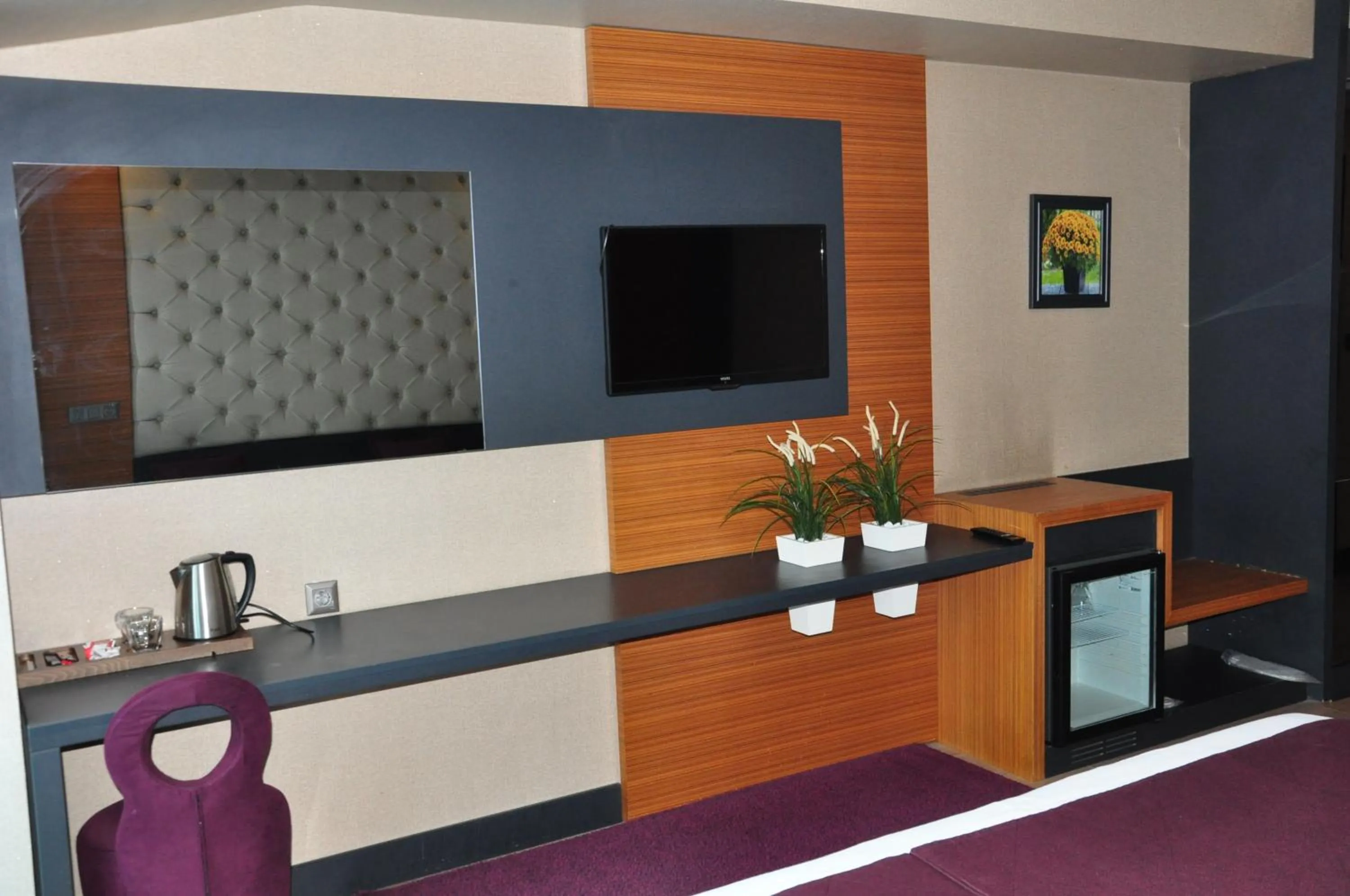 TV and multimedia in Aydinoglu Hotel