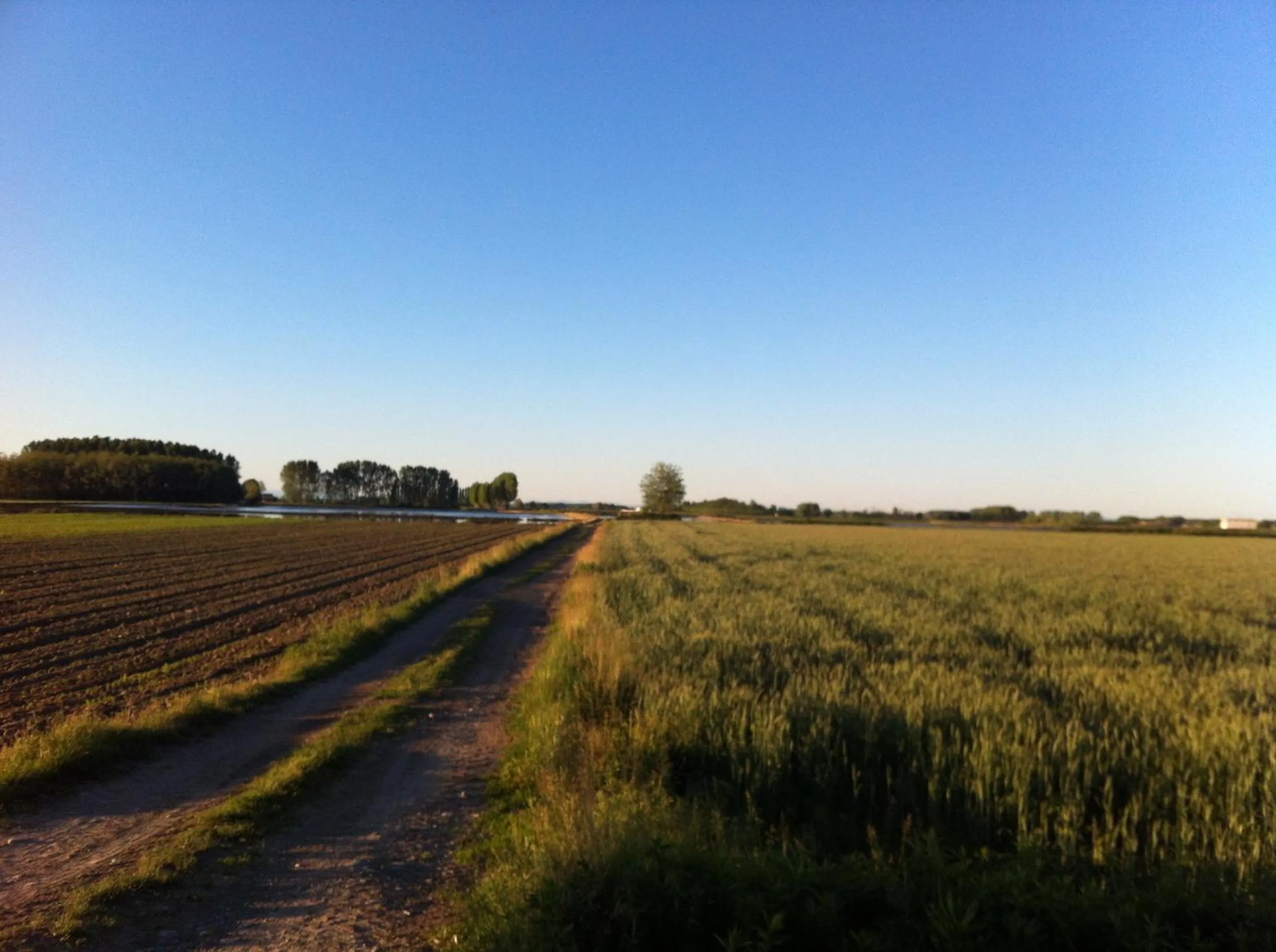 Area and facilities in Al Castello Resort