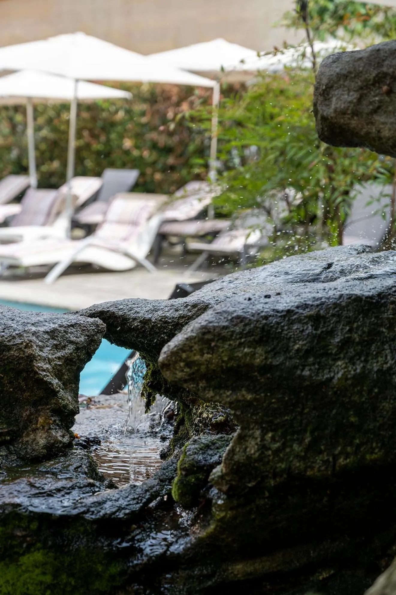 Garden in Al Castello Resort