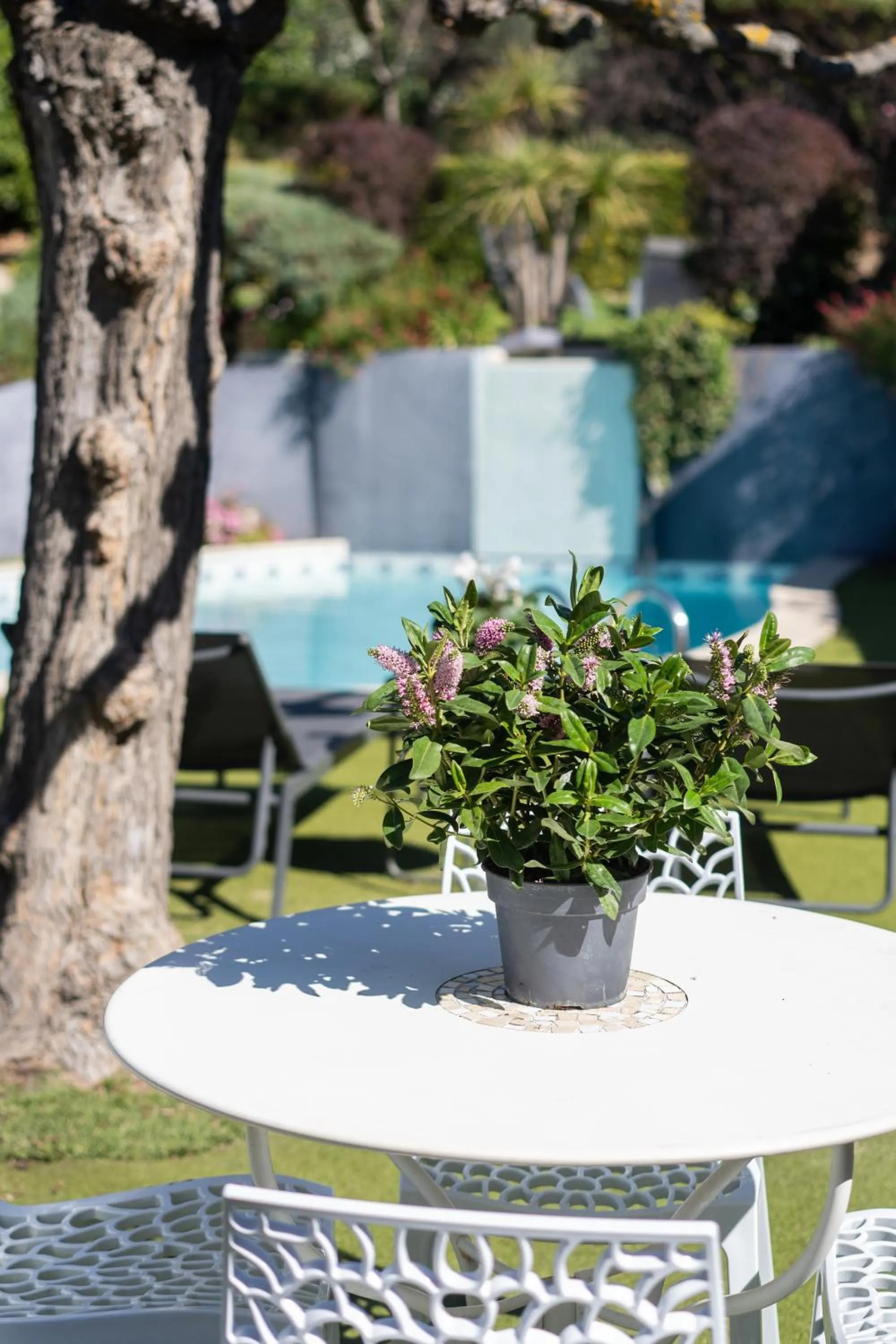 Garden view in Logis Hôtel La Fenière