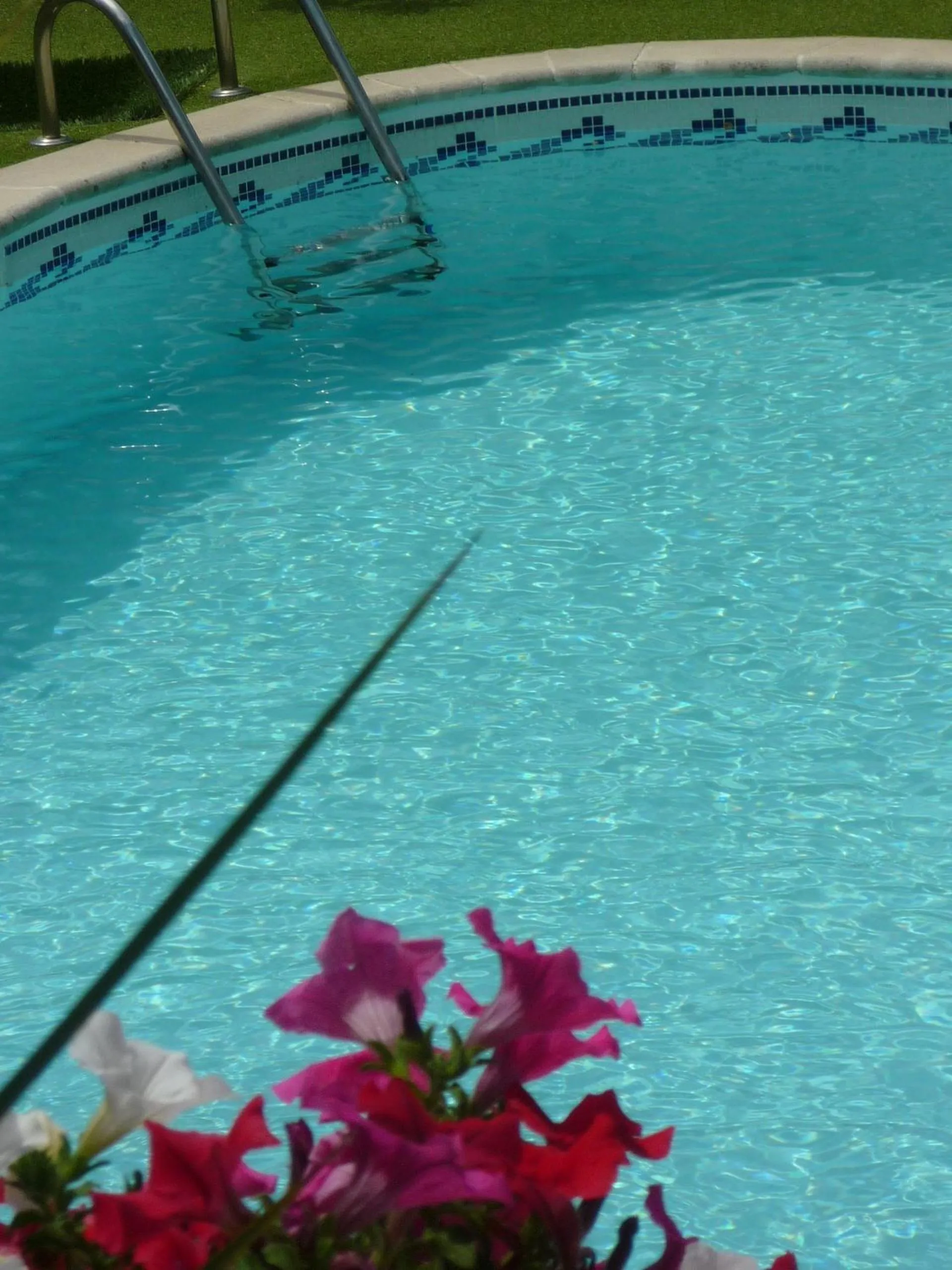 Swimming pool in Logis Hôtel La Fenière