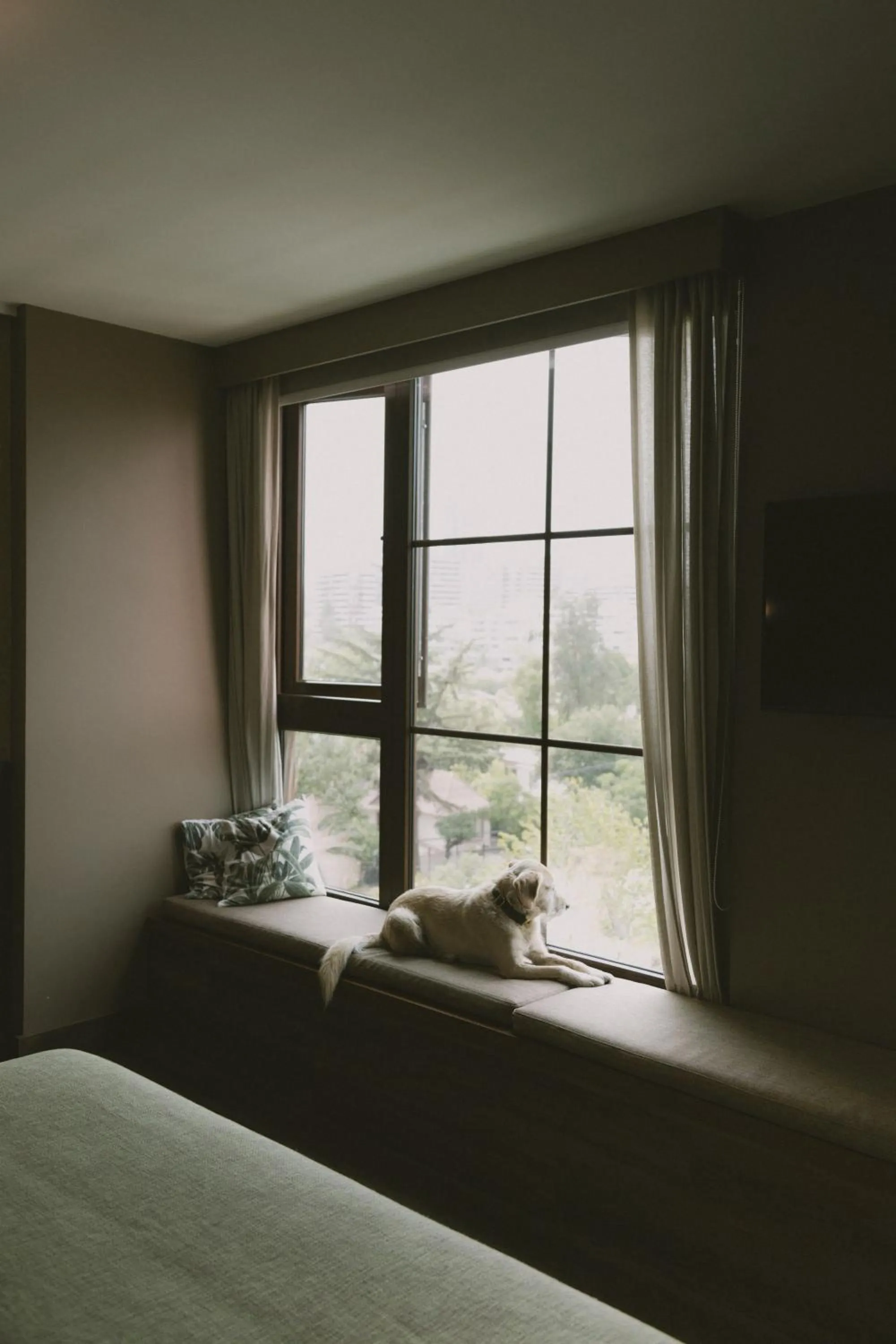 View (from property/room), Bed in Hotel Eco Boutique Bidasoa