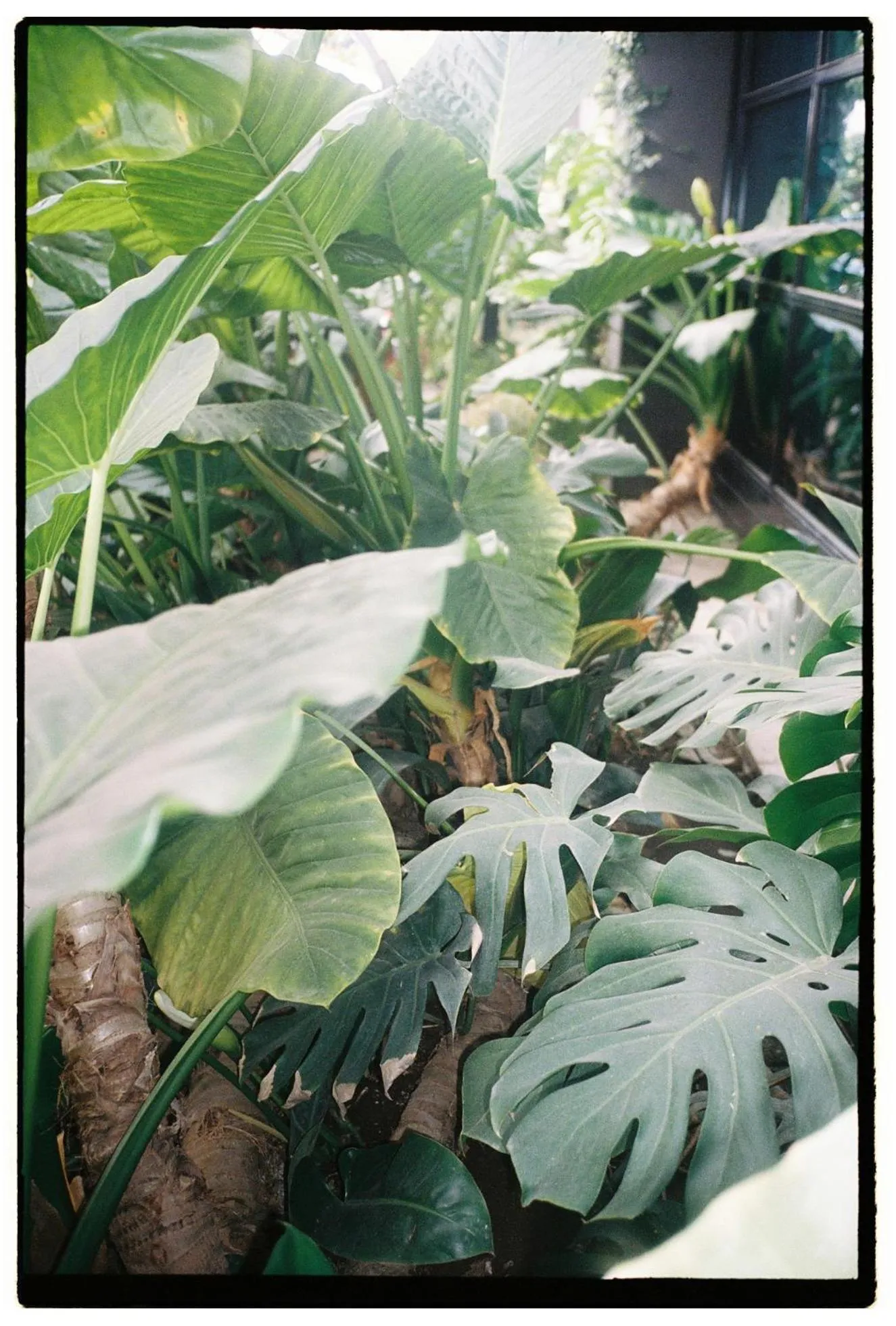 Natural landscape in Hotel Eco Boutique Bidasoa