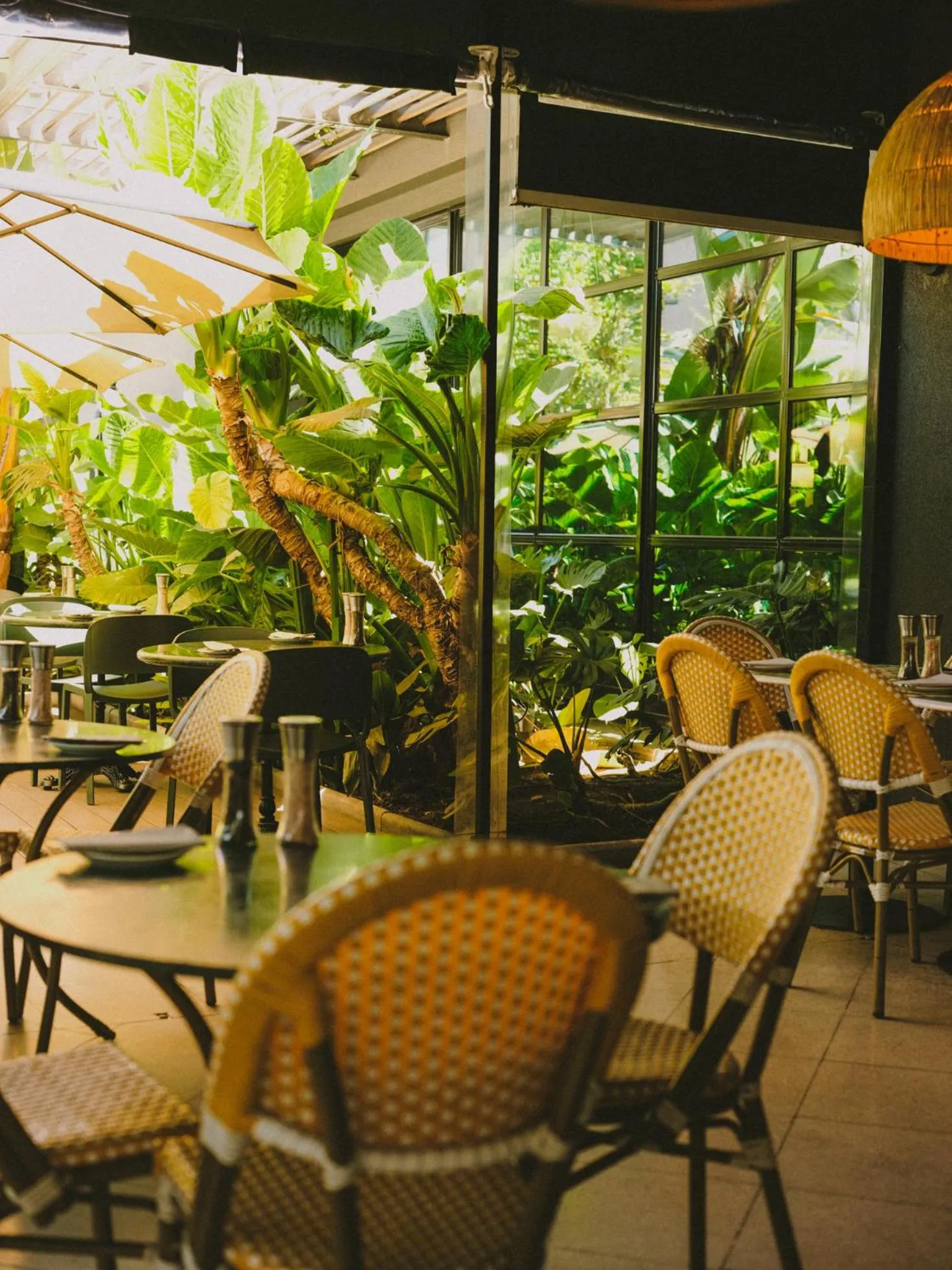 Garden view in Hotel Eco Boutique Bidasoa